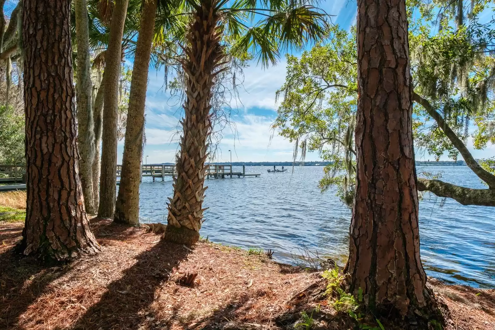 4427 LAVENDER DRIVE, PALM HARBOR, Florida 34685, 4 Bedrooms Bedrooms, ,3 BathroomsBathrooms,Residential,For Sale,LAVENDER,MFRU8244720