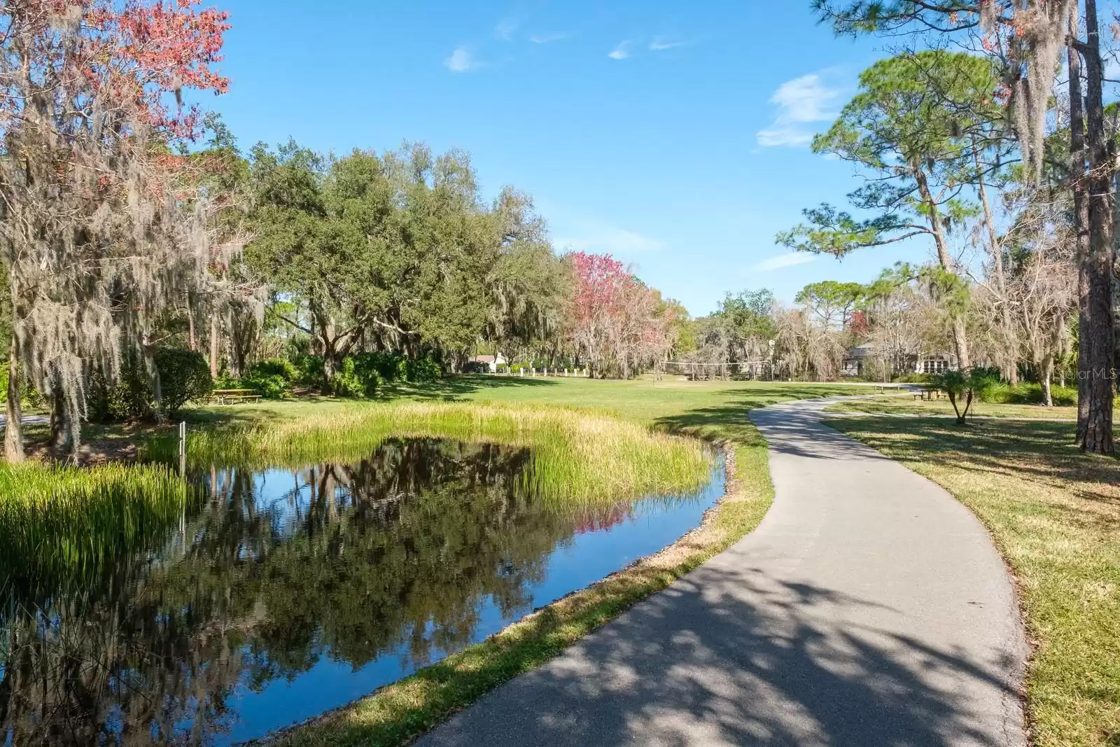 4427 LAVENDER DRIVE, PALM HARBOR, Florida 34685, 4 Bedrooms Bedrooms, ,3 BathroomsBathrooms,Residential,For Sale,LAVENDER,MFRU8244720