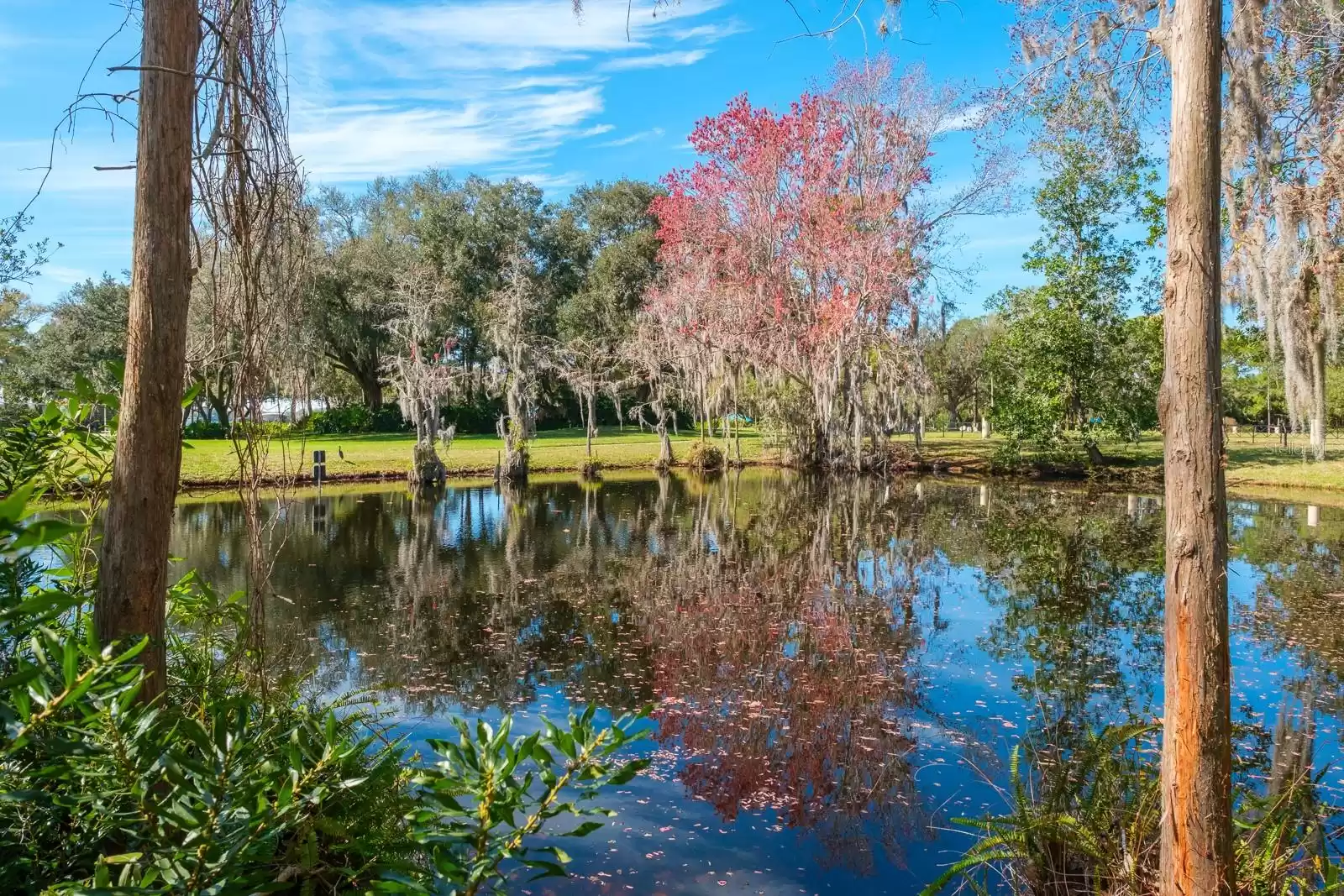 4427 LAVENDER DRIVE, PALM HARBOR, Florida 34685, 4 Bedrooms Bedrooms, ,3 BathroomsBathrooms,Residential,For Sale,LAVENDER,MFRU8244720