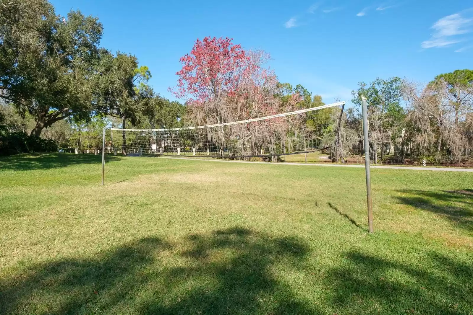 4427 LAVENDER DRIVE, PALM HARBOR, Florida 34685, 4 Bedrooms Bedrooms, ,3 BathroomsBathrooms,Residential,For Sale,LAVENDER,MFRU8244720