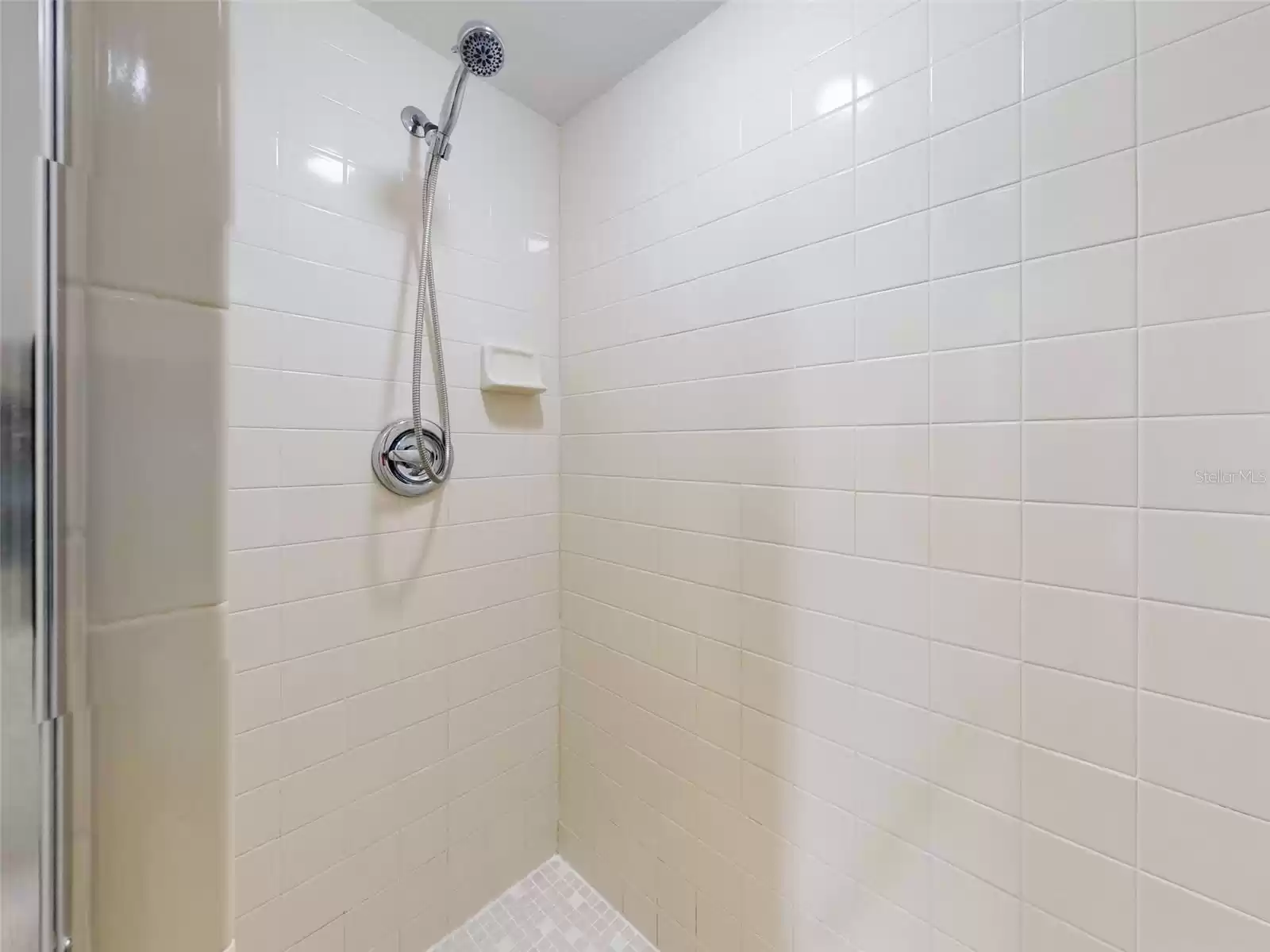 Master  Bathroom shower