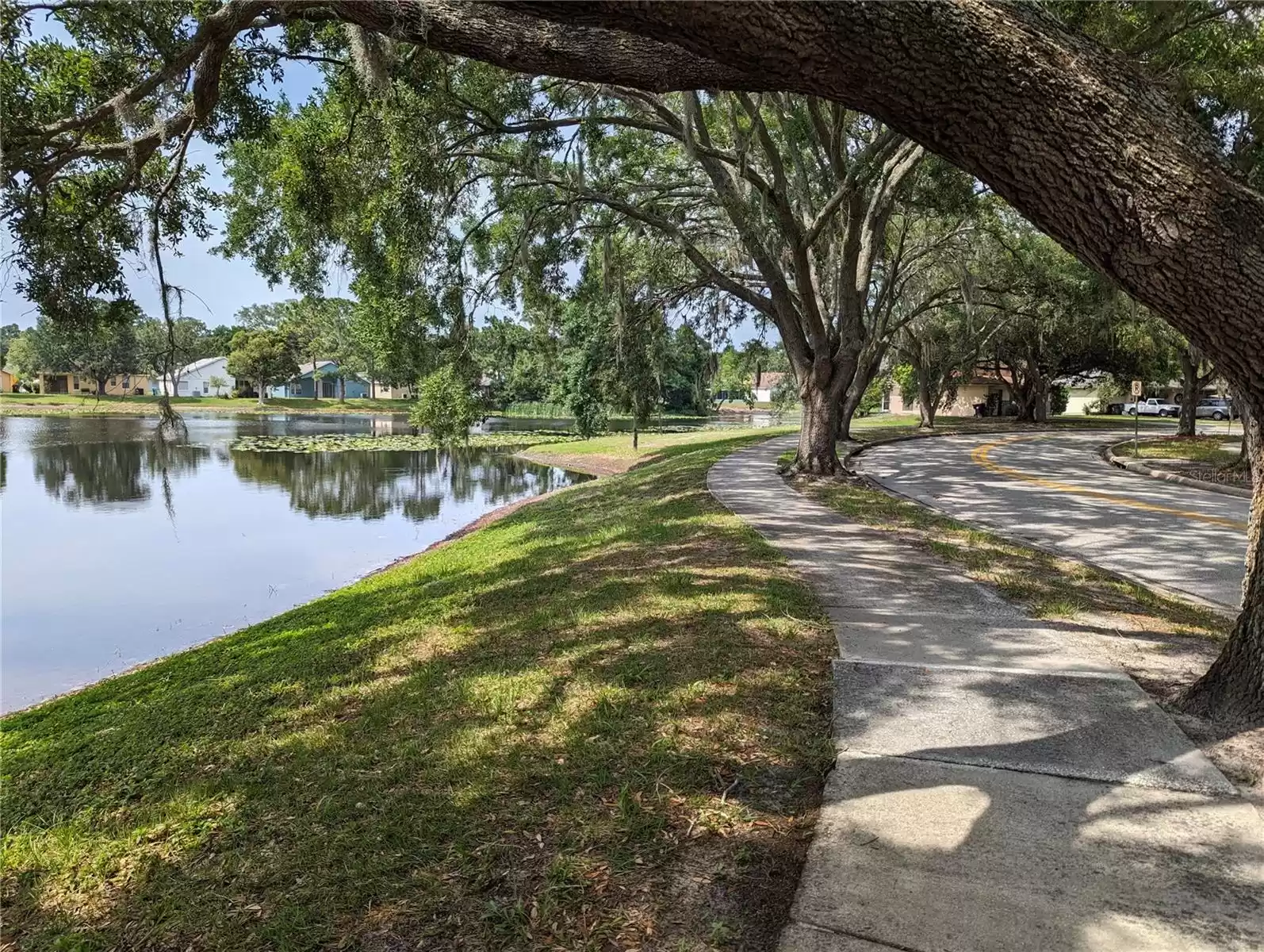 Lakeside shaded area across the street