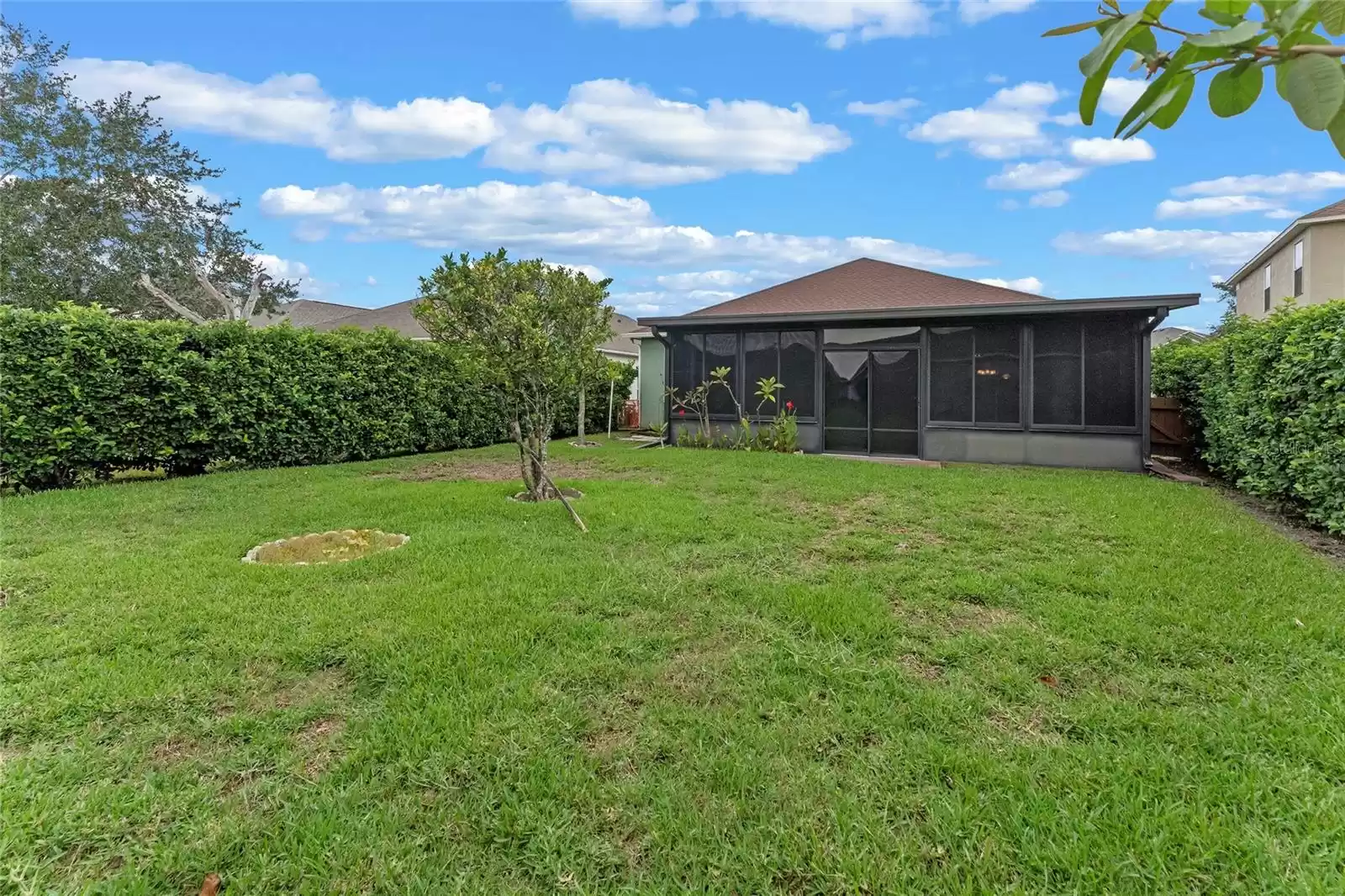 Spacious Back Yard