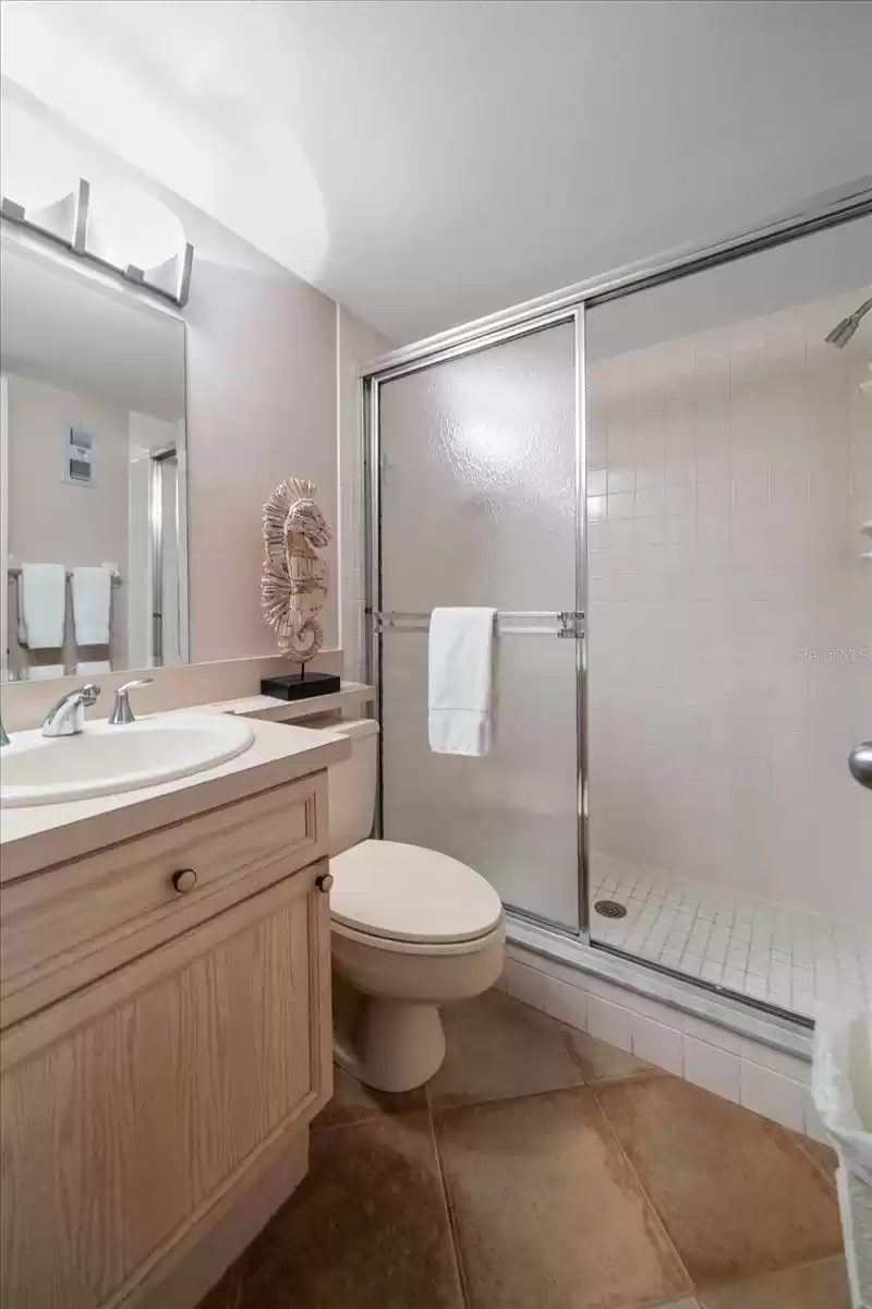 Guest bathroom