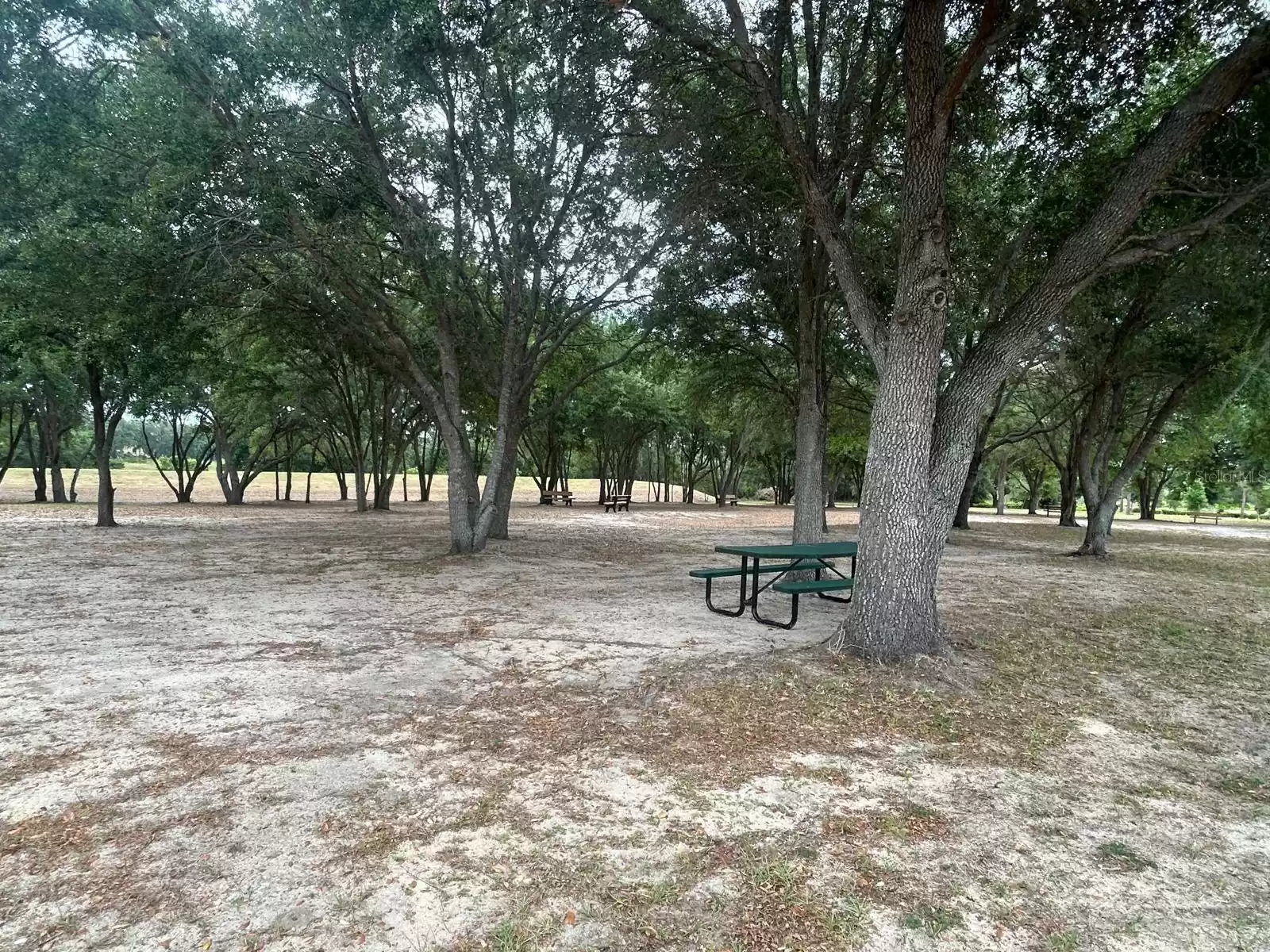 Community Park with Picnic Tables