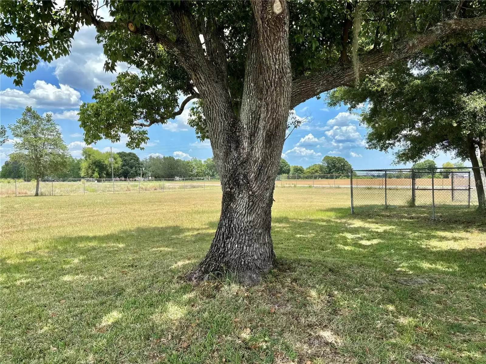 3549 OLD BARTOW ROAD, LAKE WALES, Florida 33859, 3 Bedrooms Bedrooms, ,2 BathroomsBathrooms,Residential,For Sale,OLD BARTOW,MFRL4945299