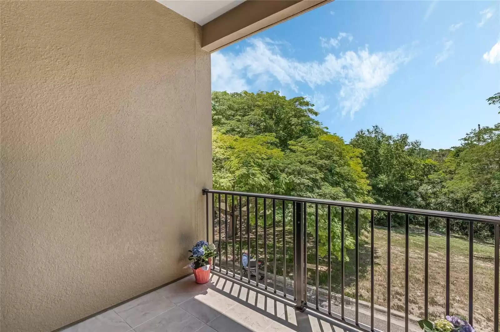 Rear balcony with conservation view