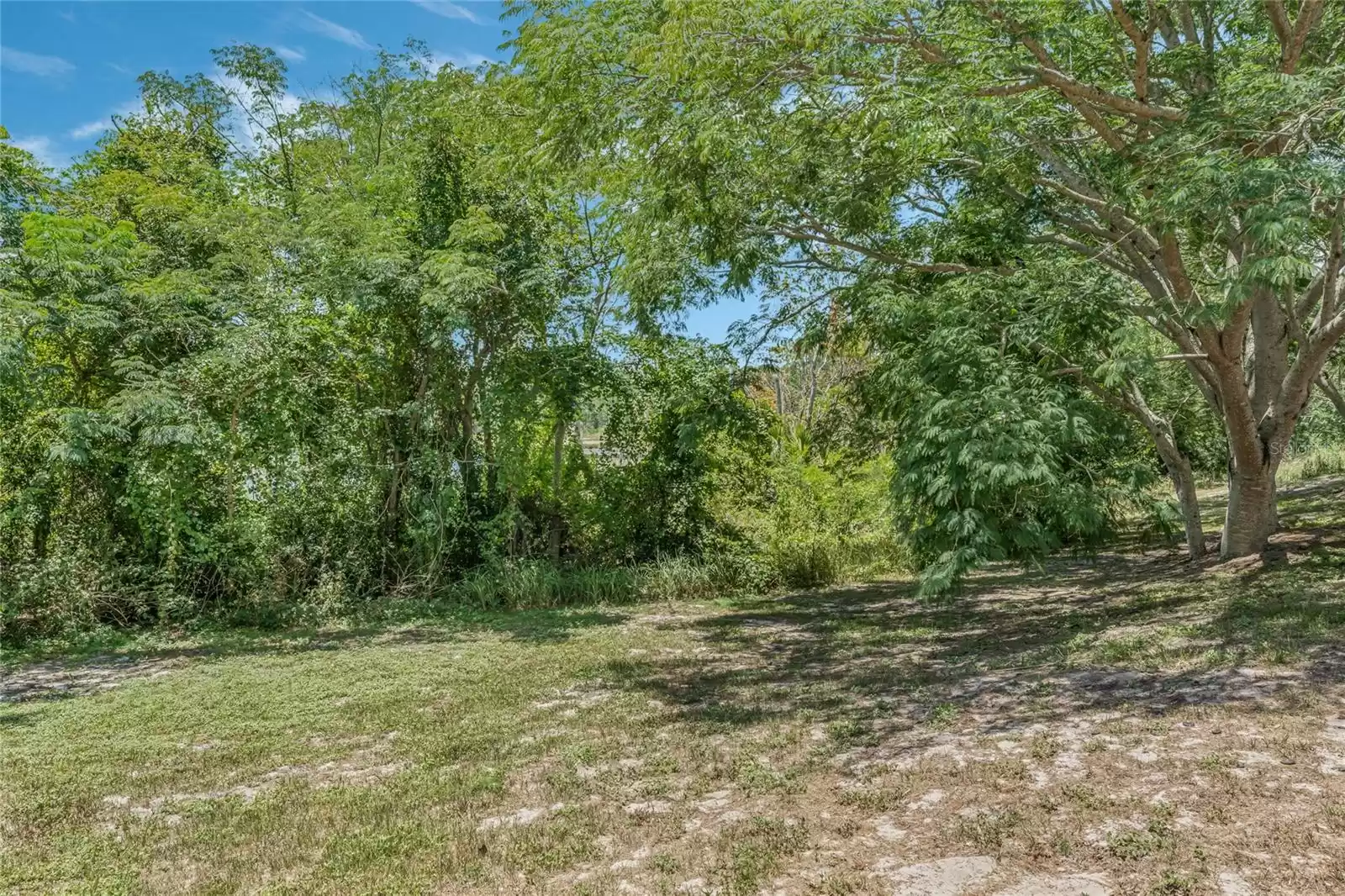 Conservation view behind home