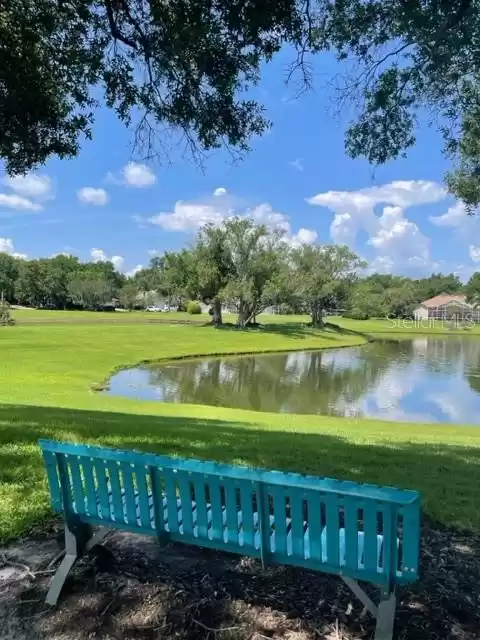 Pond at the FWC entrance.