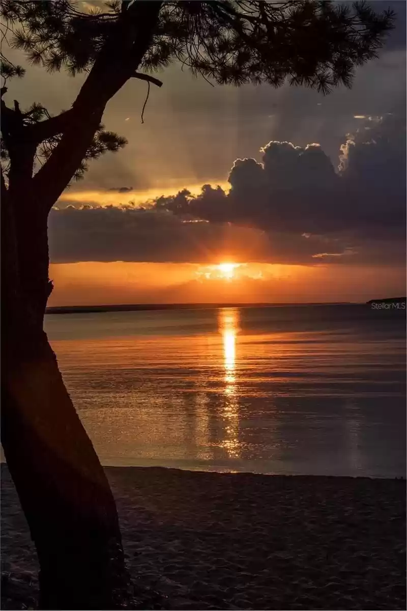 Fairway Cove lake evening view.