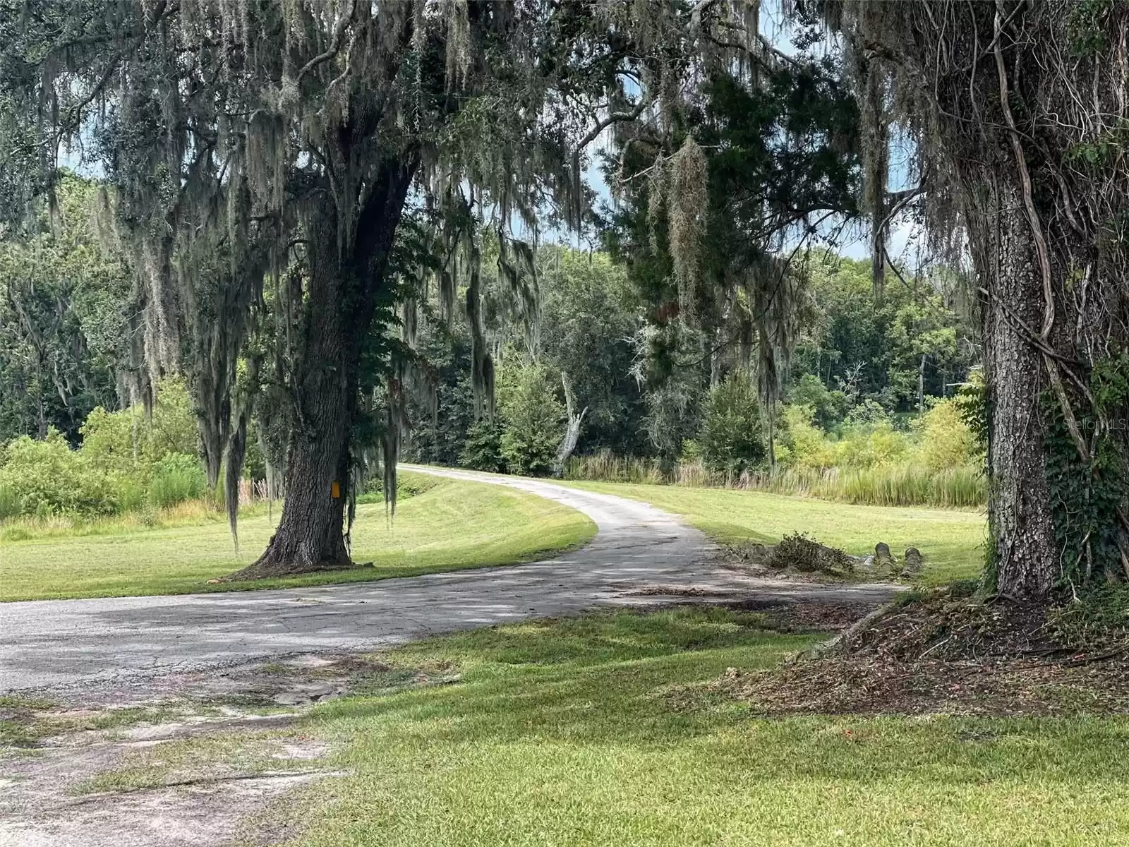 9481 PATRICK STREET, BROOKSVILLE, Florida 34601, 4 Bedrooms Bedrooms, ,2 BathroomsBathrooms,Residential,For Sale,PATRICK,MFRU8245922