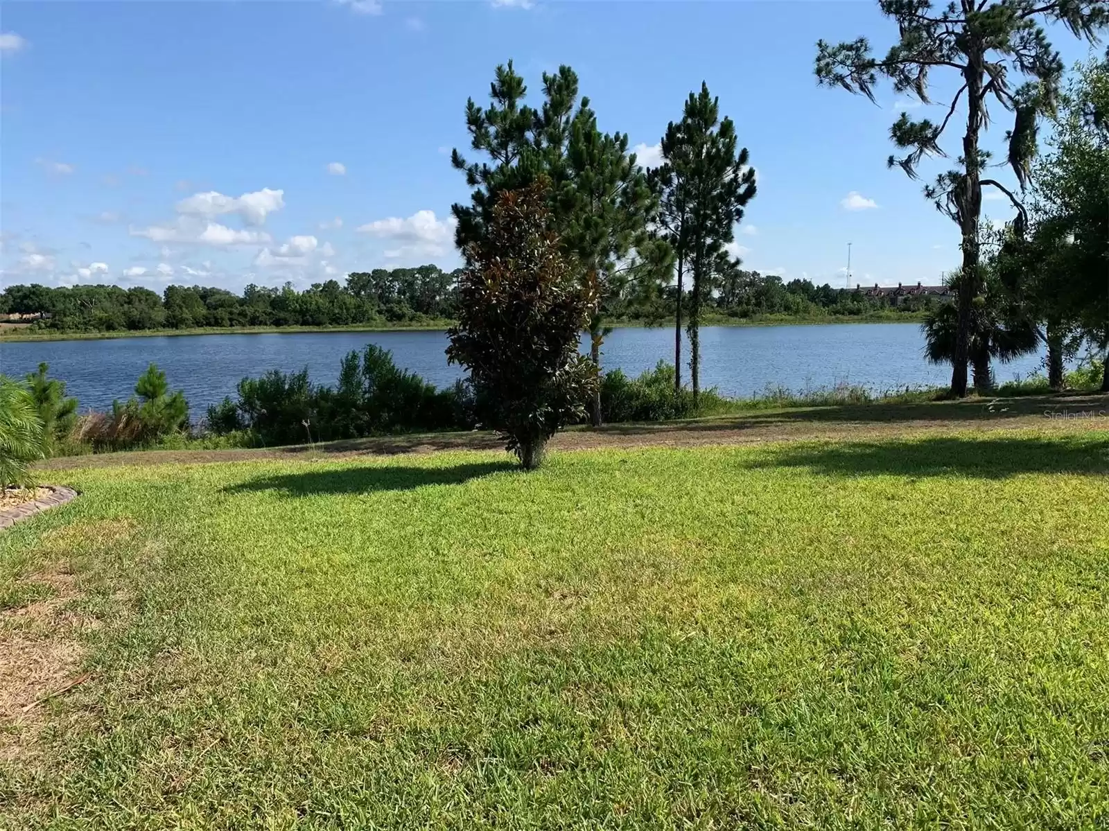 Lake view from the back yard