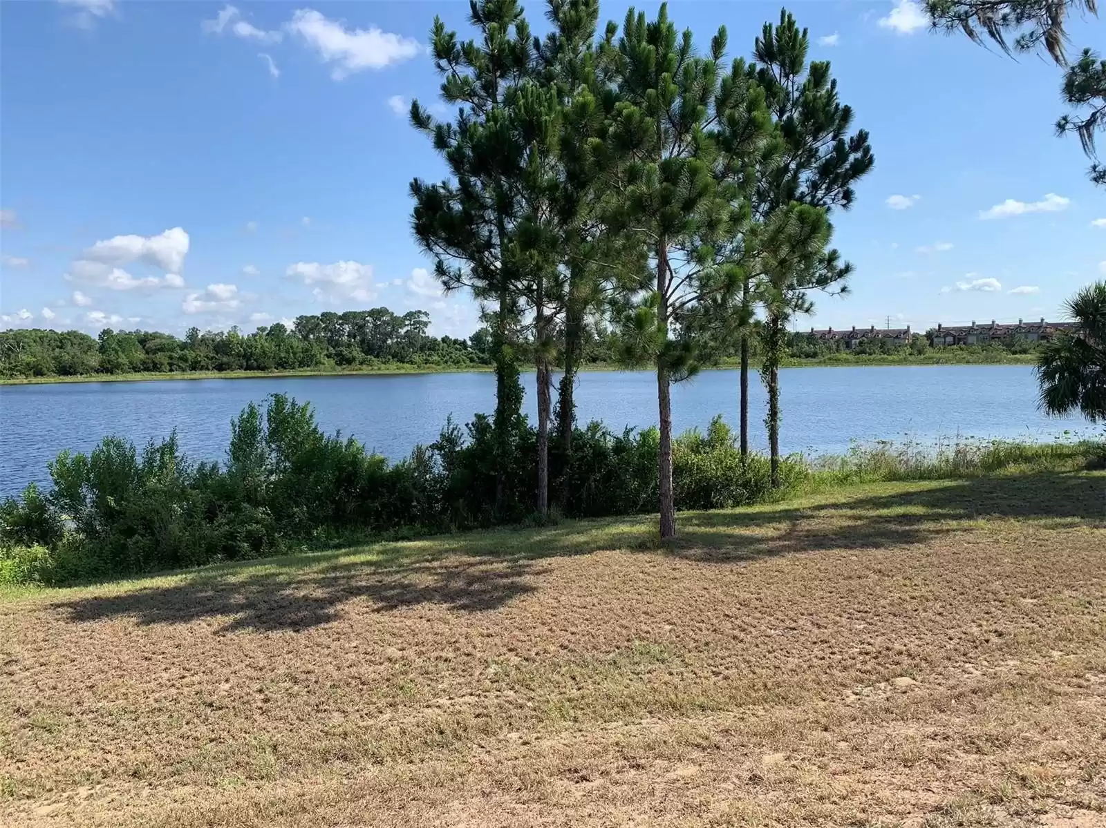 Lake view from back yard