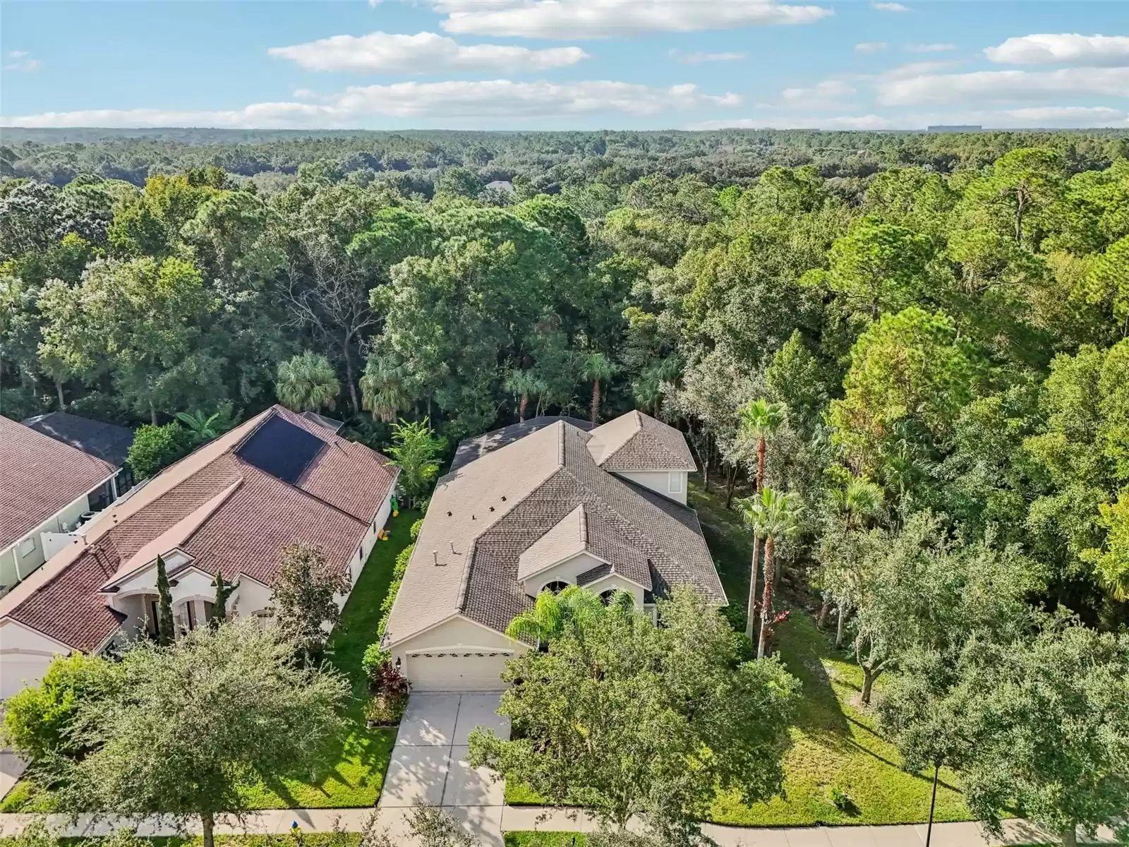 Property and aerial view of conservation/woods