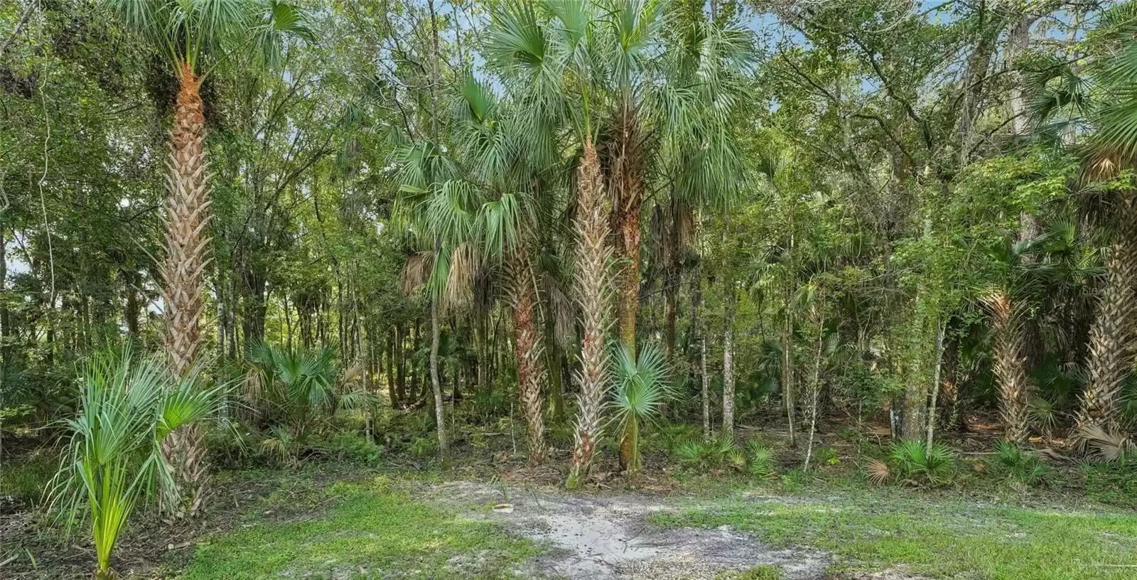 Conservation/woods behind property