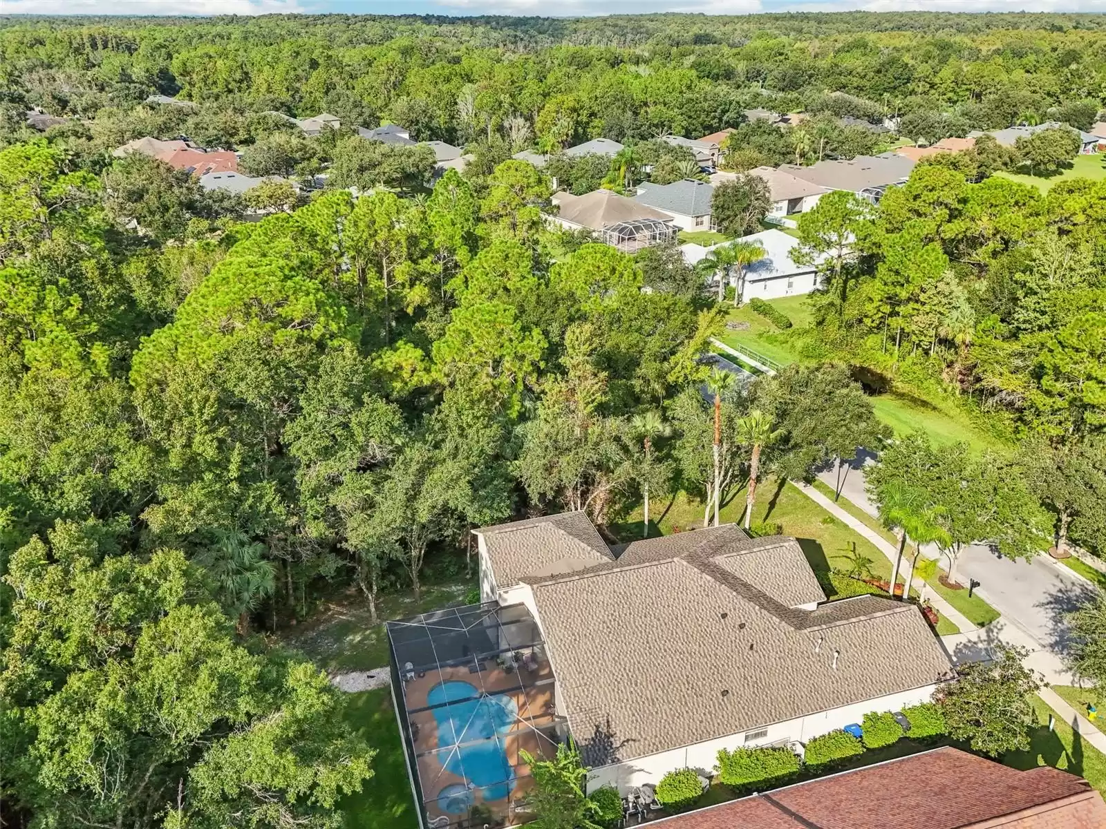 Aerial view of property and conservation/woods