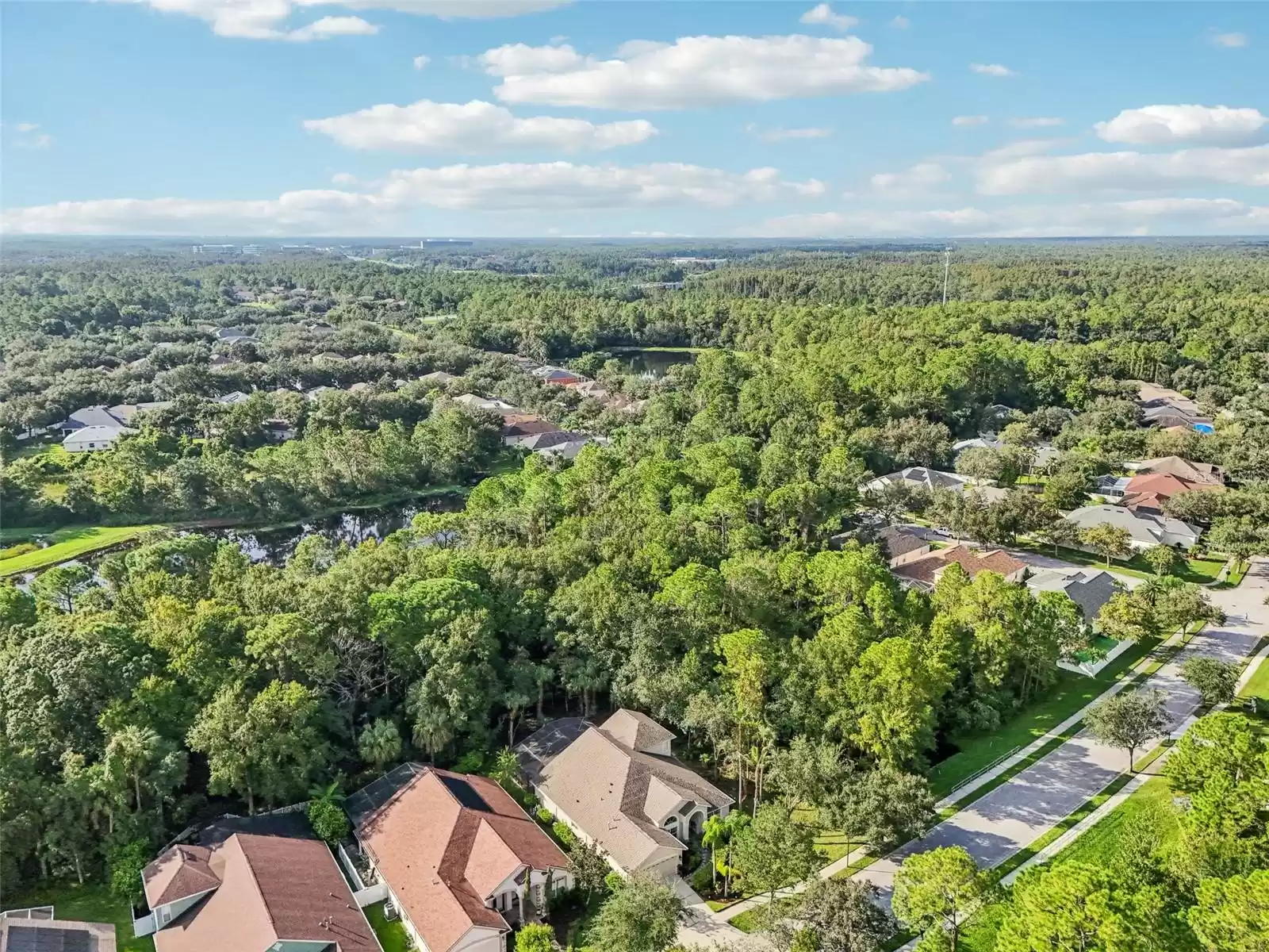 Aerial view - property surrounded by woods