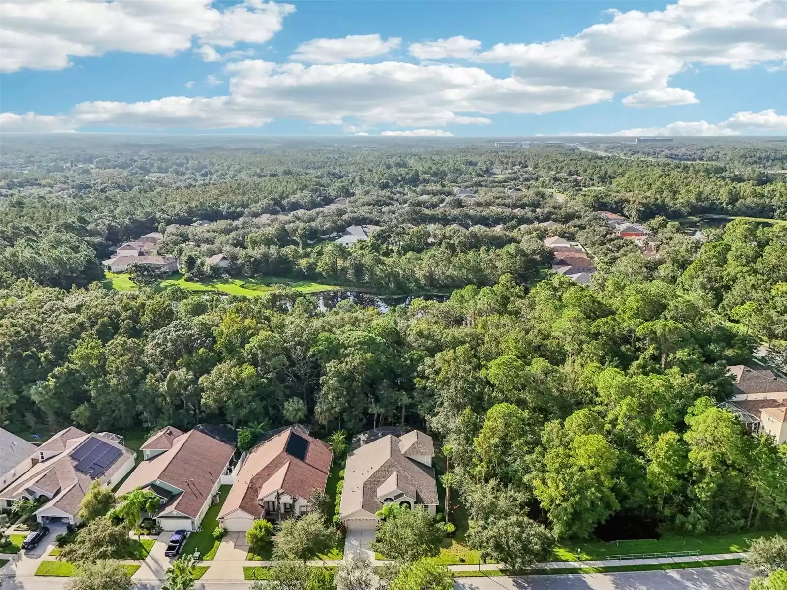 Property and view of conservation/woods