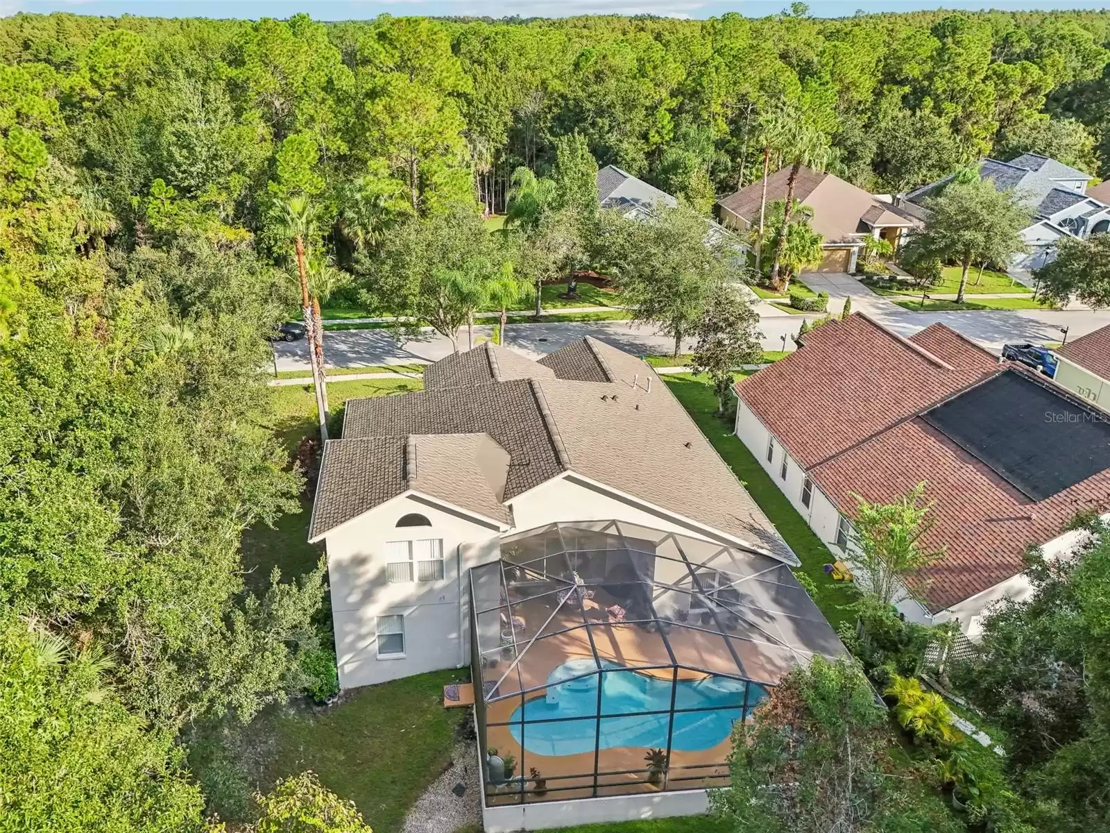 Aerial view of the pool and conservation