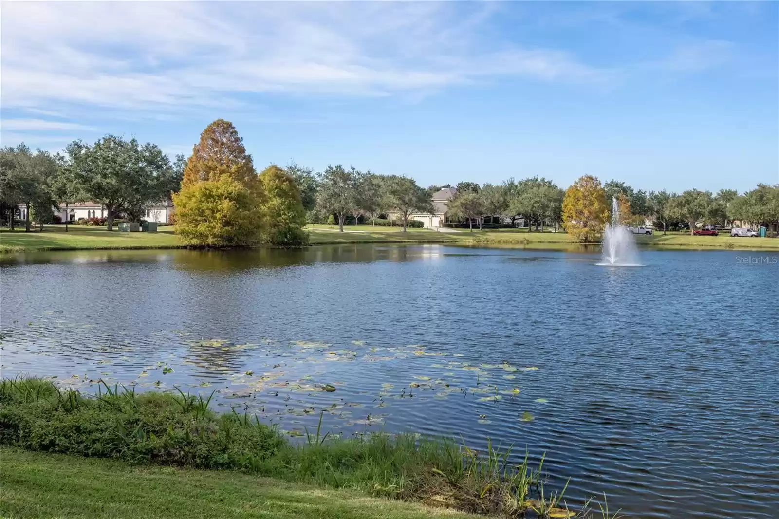 Tranquil Pond view to the front of the Estate