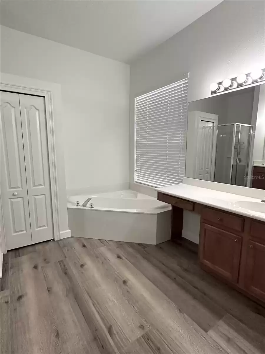 Primary Bathroom - tub