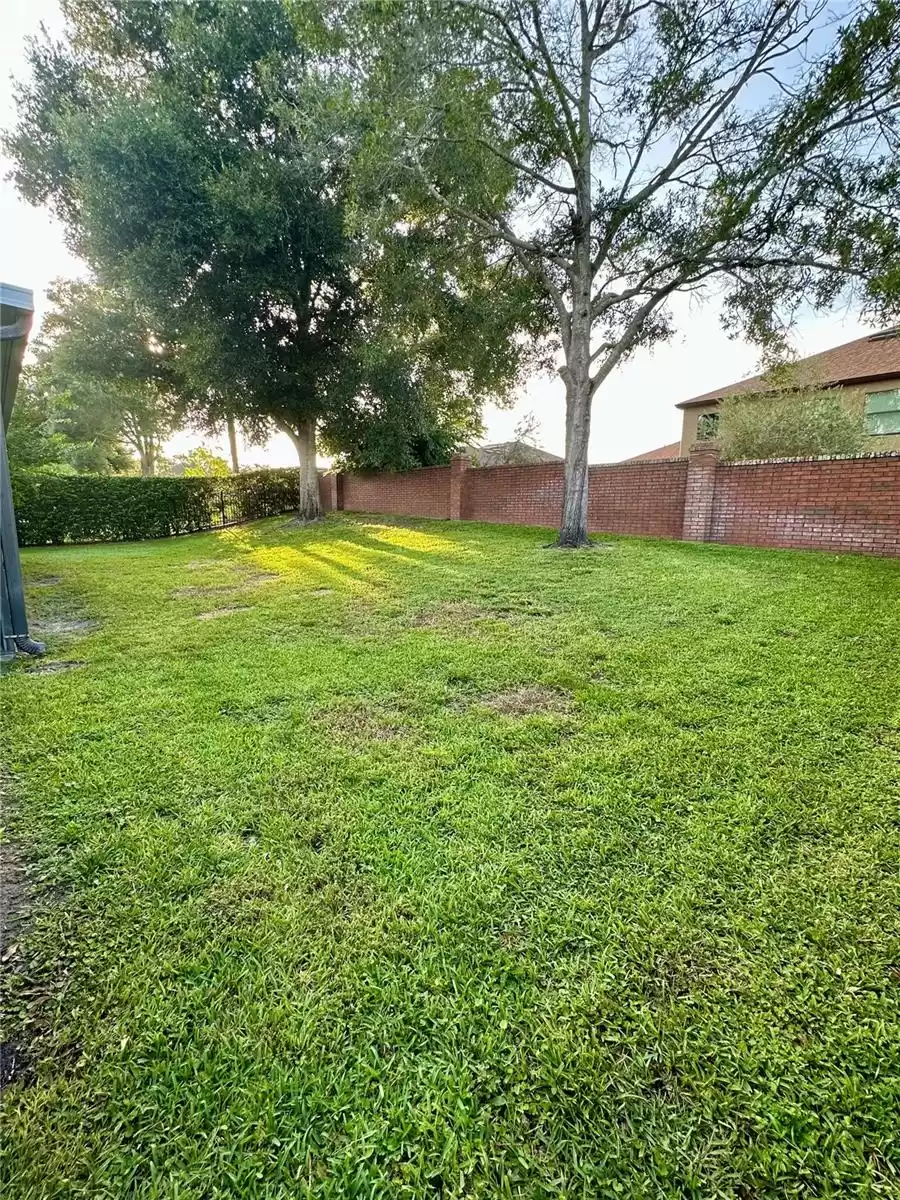 Backyard - fully fenced