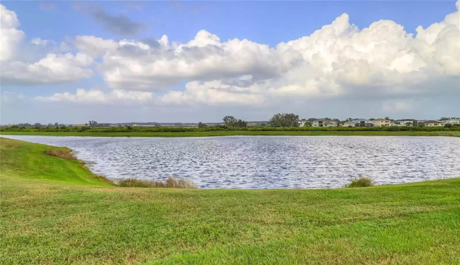 pond view