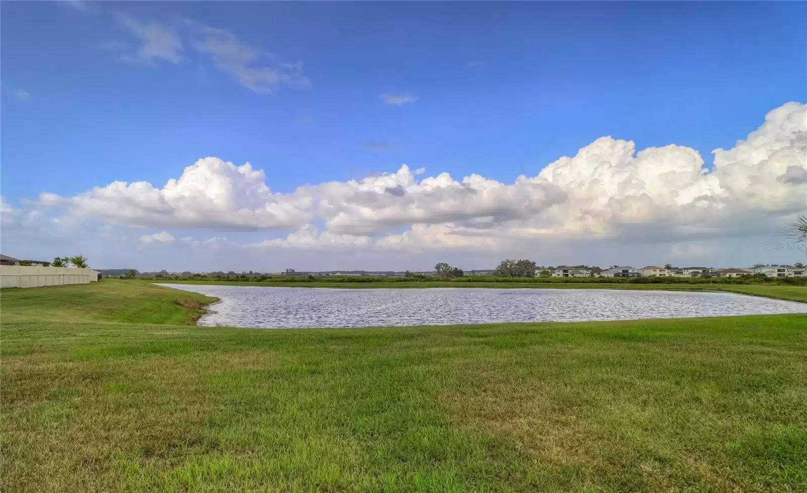 pond view