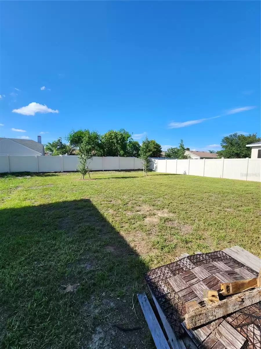 Back patio