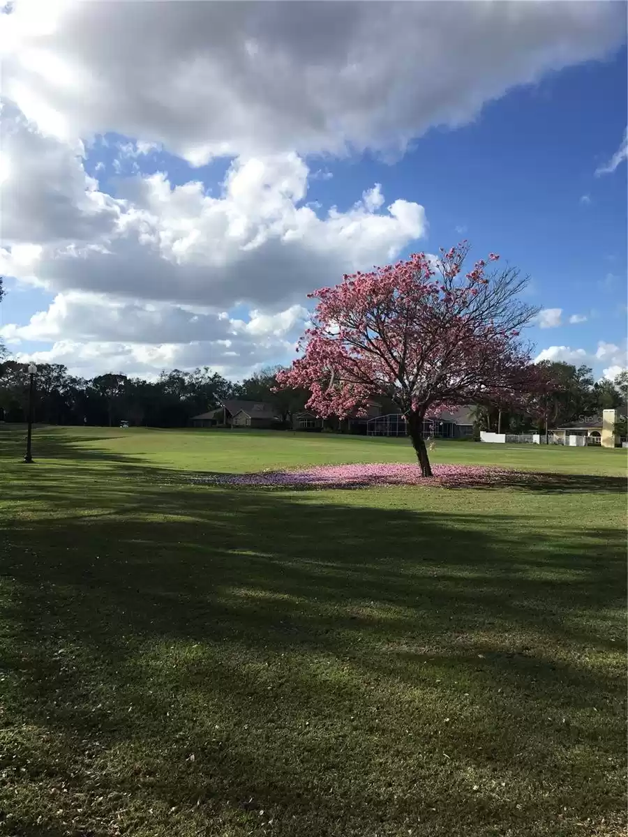 1275 PRINCE COURT, LAKE MARY, Florida 32746, 4 Bedrooms Bedrooms, ,3 BathroomsBathrooms,Residential,For Sale,PRINCE,MFRO6215572