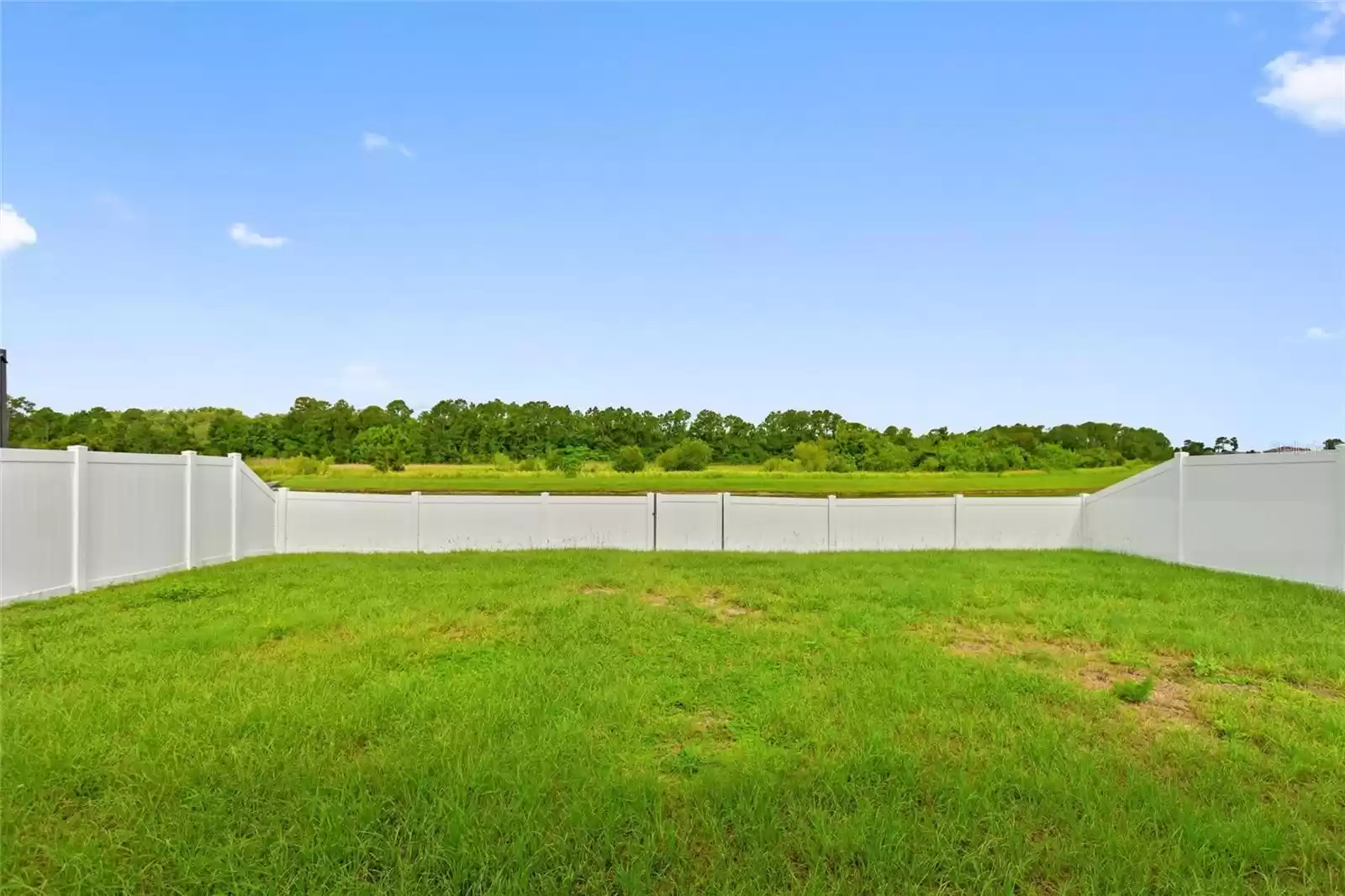 Fenced backyard