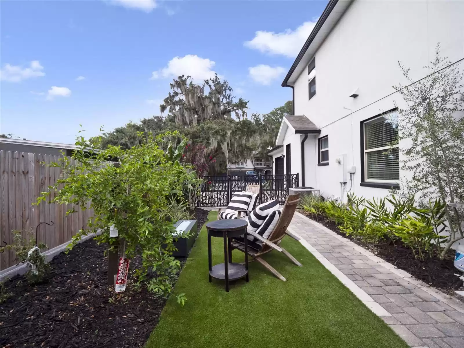 Courtyard and garden area. Growing bananas,pineapples,cherries,tomatoes,peppers,eggplant and more.