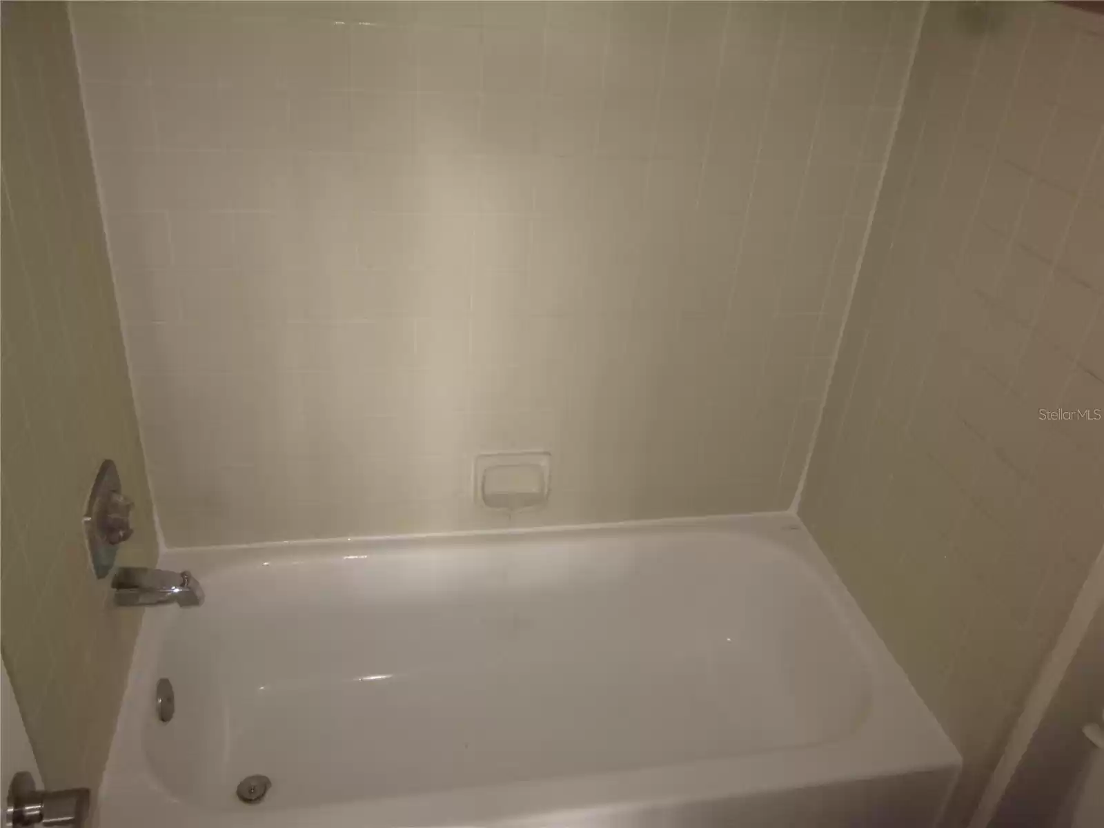 Tub with shower