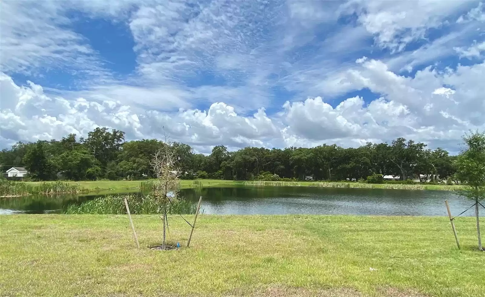 Backyard View