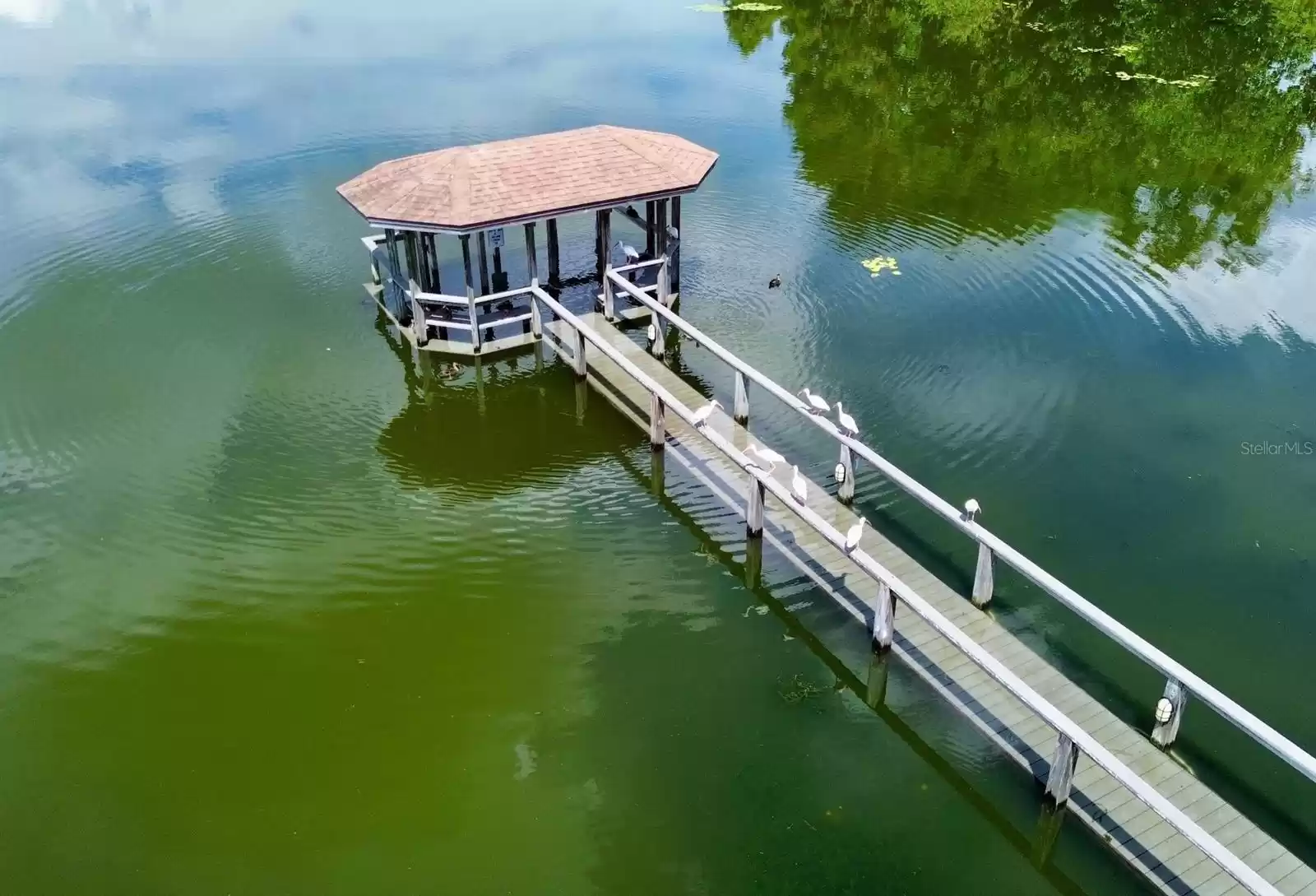 Residents' dock