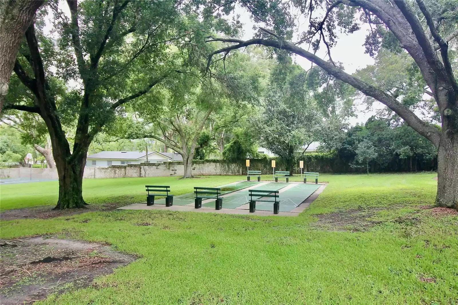 SHUFFLEBOARD AND BASKETBALL COURTS