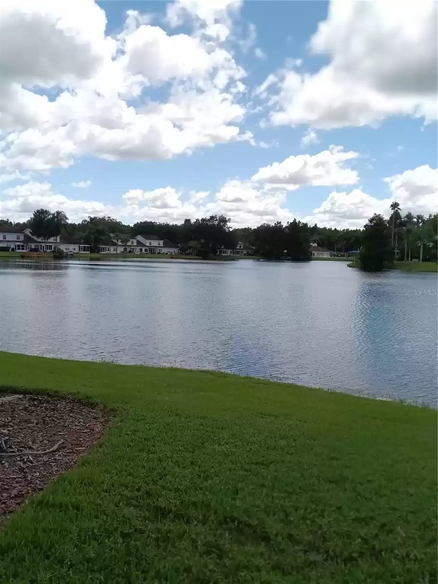 1809 LAKE HERON DRIVE, LUTZ, Florida 33549, 3 Bedrooms Bedrooms, ,2 BathroomsBathrooms,Residential Lease,For Rent,LAKE HERON,MFRU8250488