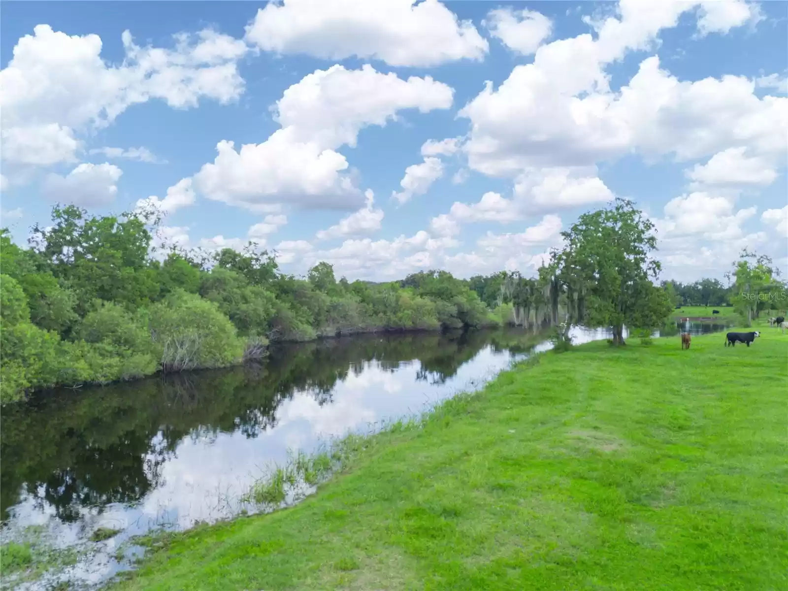 1300' MOL of creek frontage