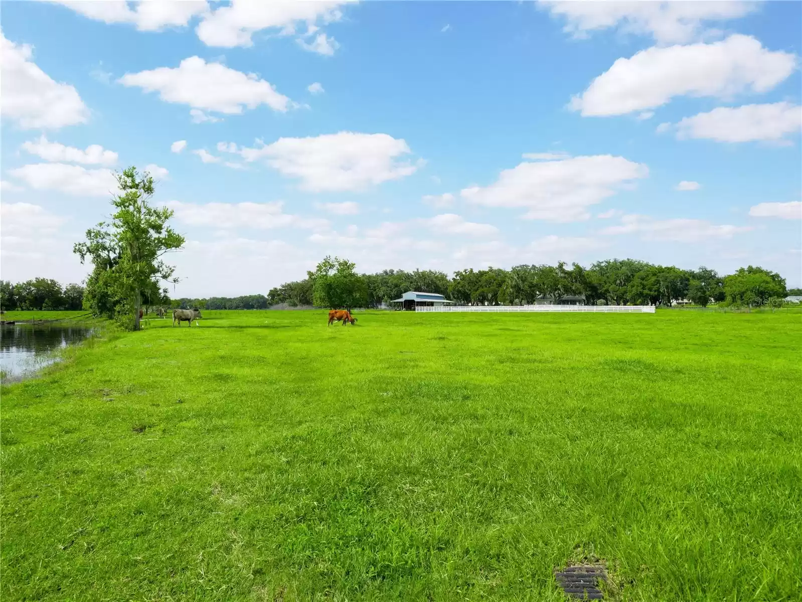 1096 Drew St, Lakeland, Florida 33810, 4 Bedrooms Bedrooms, ,3 BathroomsBathrooms,Residential,For Sale,DREW,L4946402