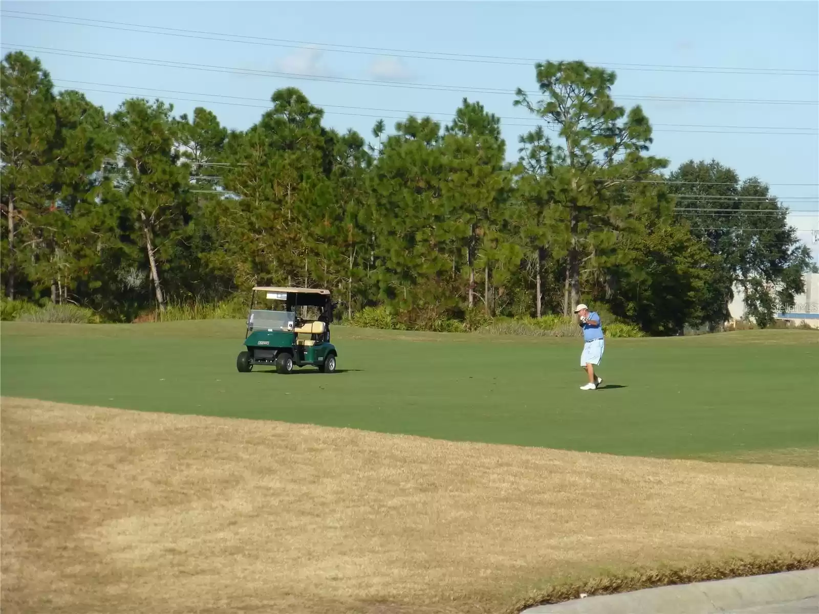 A Golfer's Dream