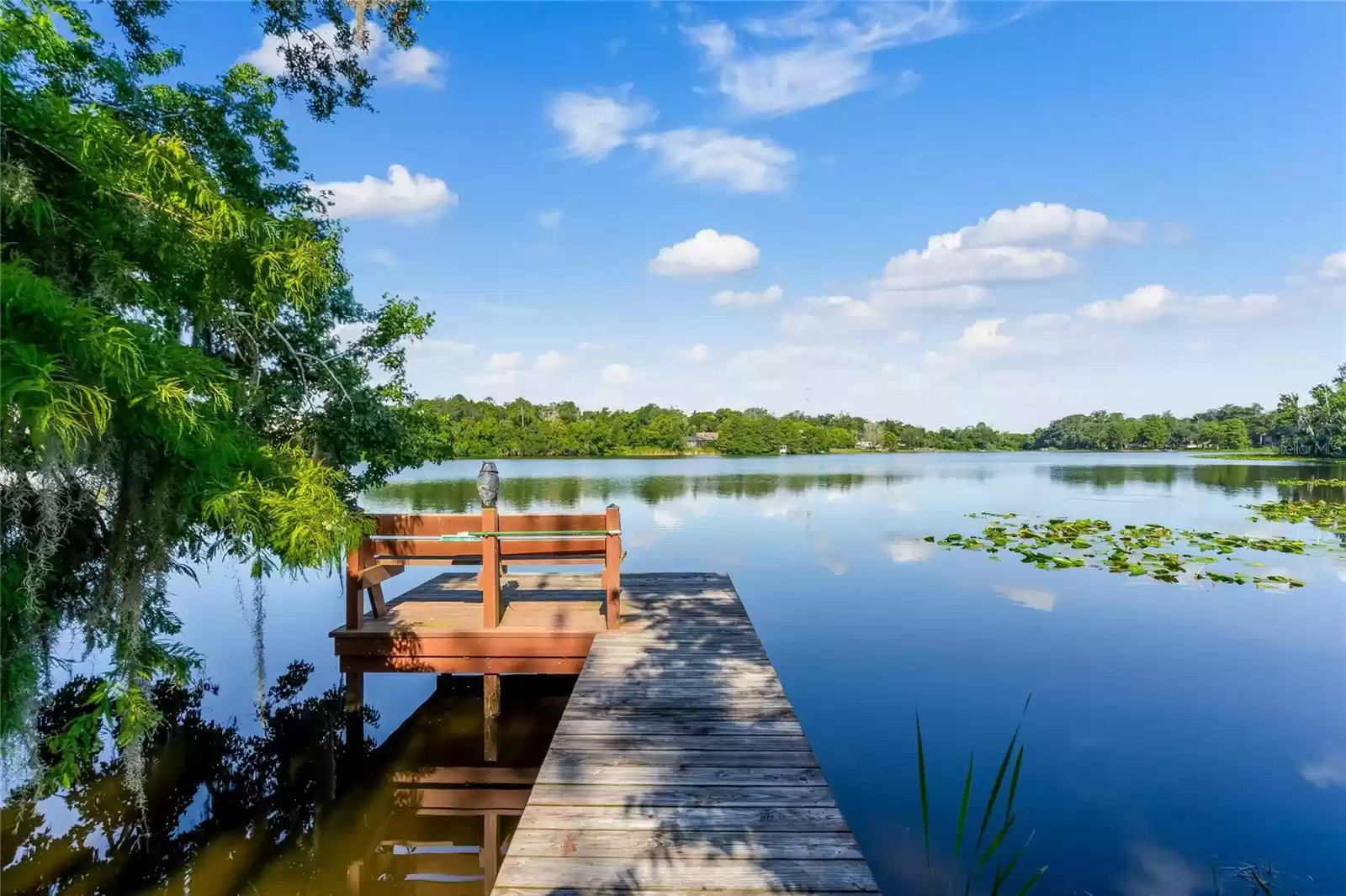 Private Dock and Lake View