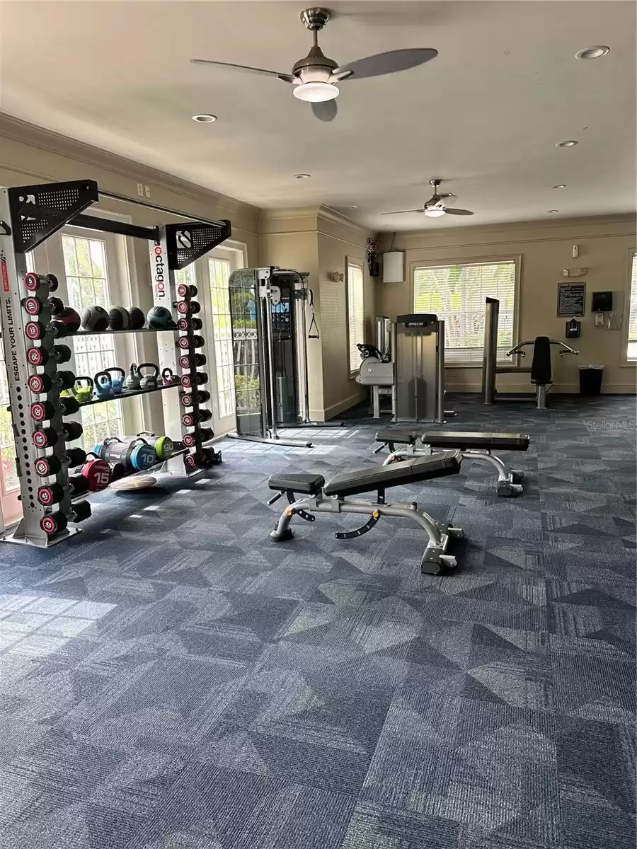 Free Weights