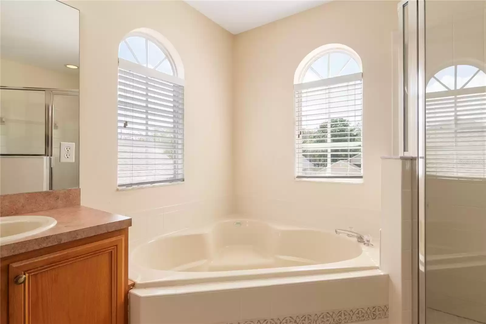 Jacuzzi Tub in Master Bathroom