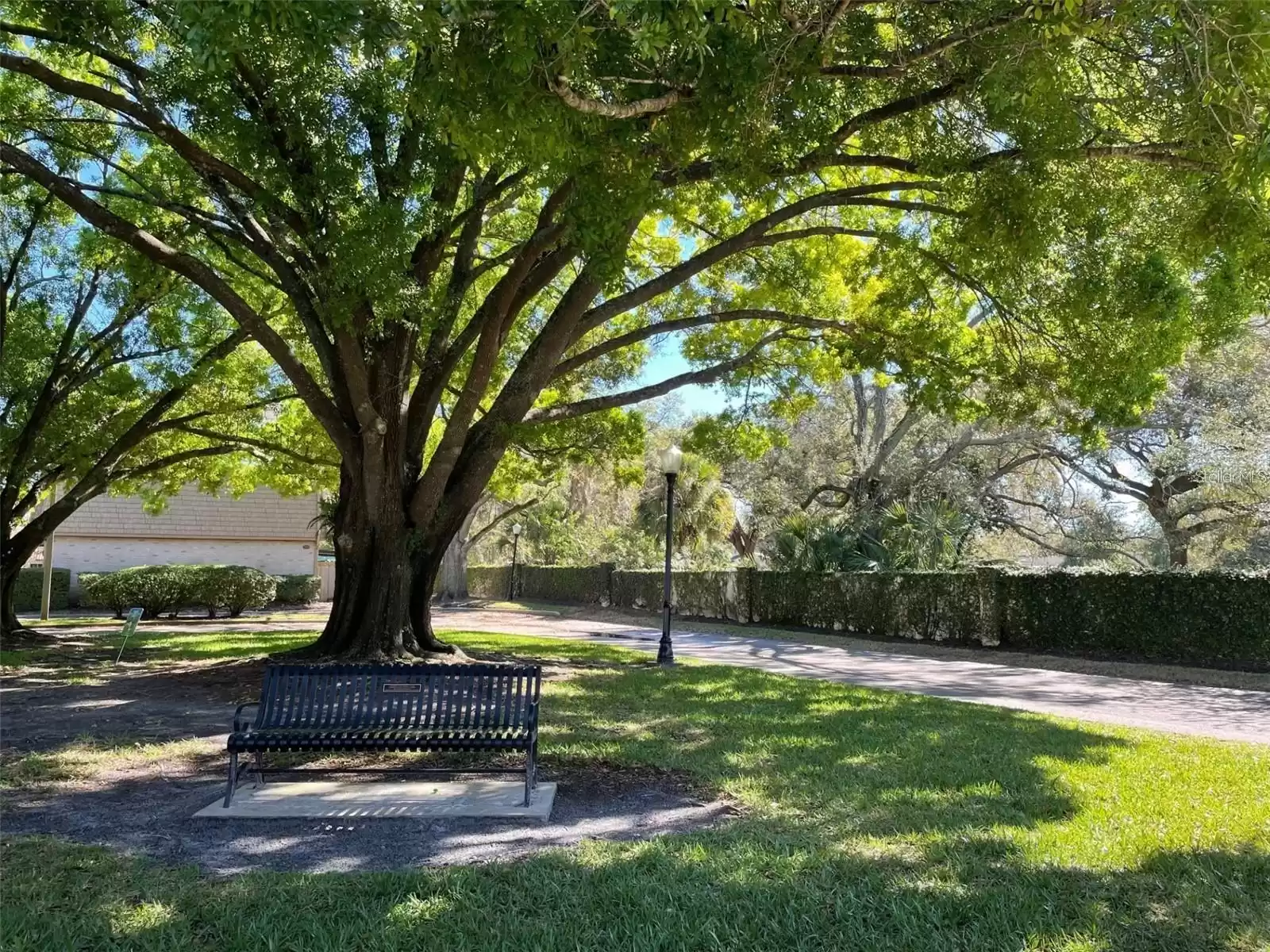 200 SAINT ANDREWS BOULEVARD, WINTER PARK, Florida 32792, 3 Bedrooms Bedrooms, ,2 BathroomsBathrooms,Residential,For Sale,SAINT ANDREWS,MFRO6216967