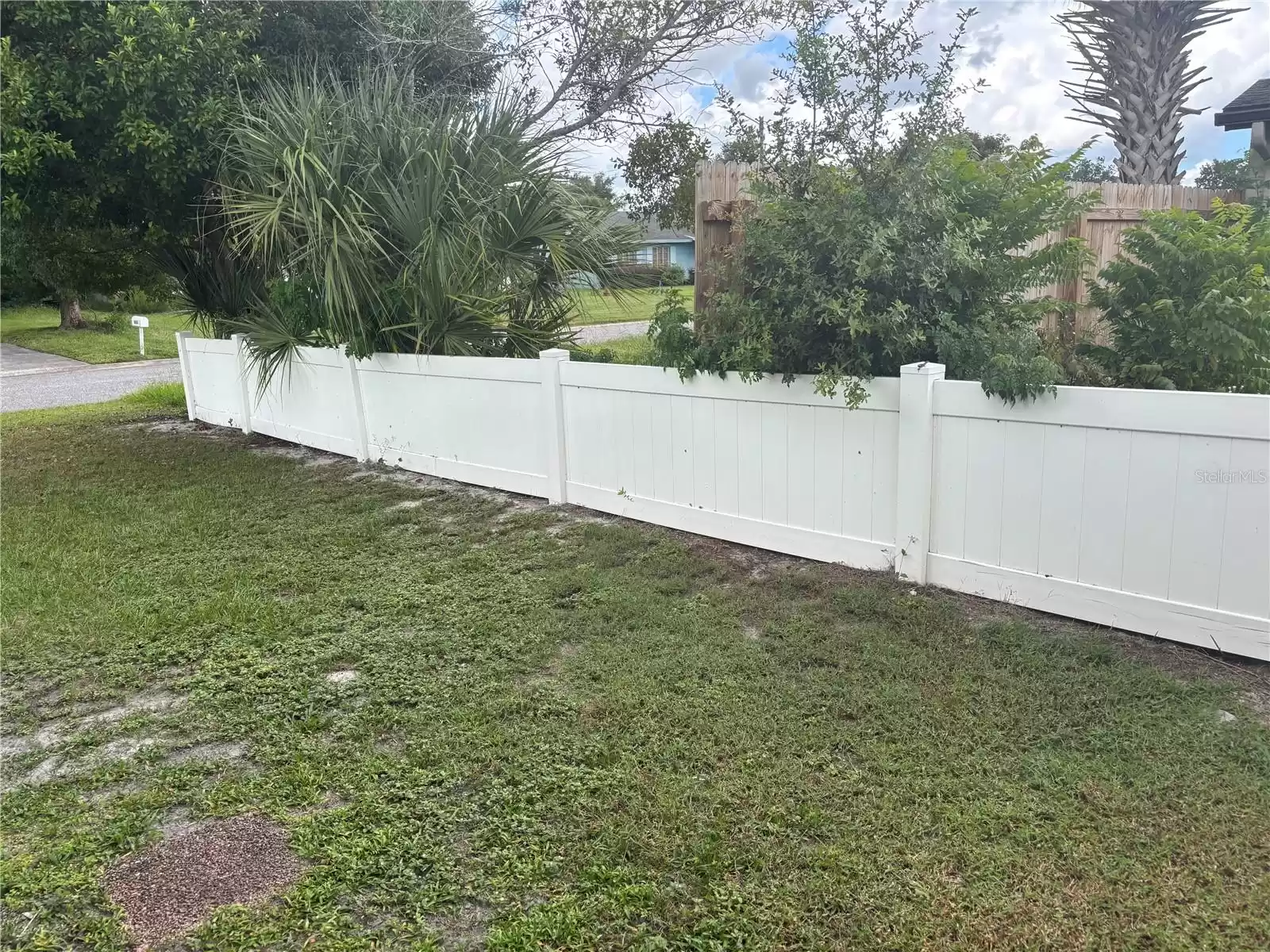 Partial view of the front yard