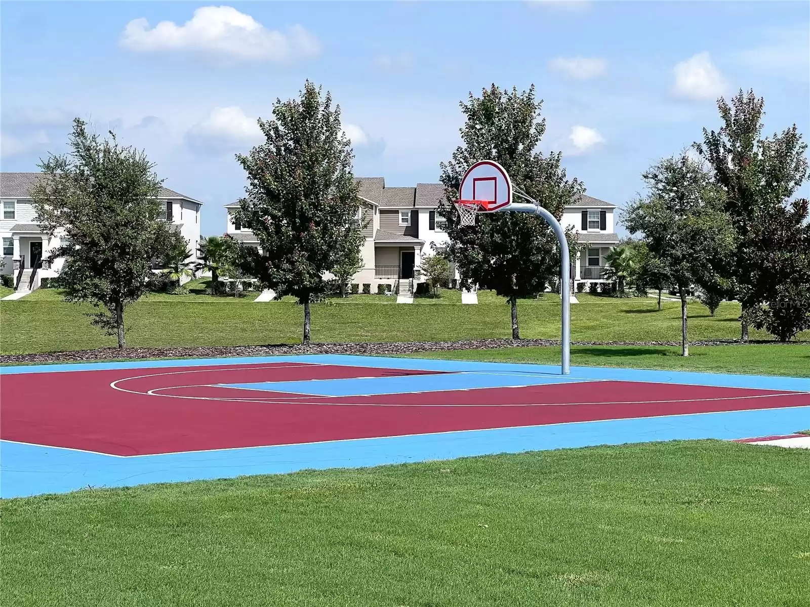 Basketball Court