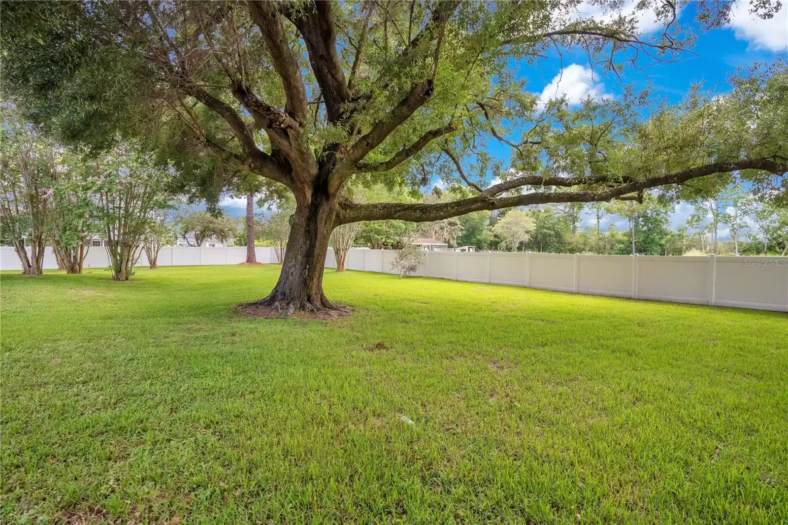 Fenced Yard