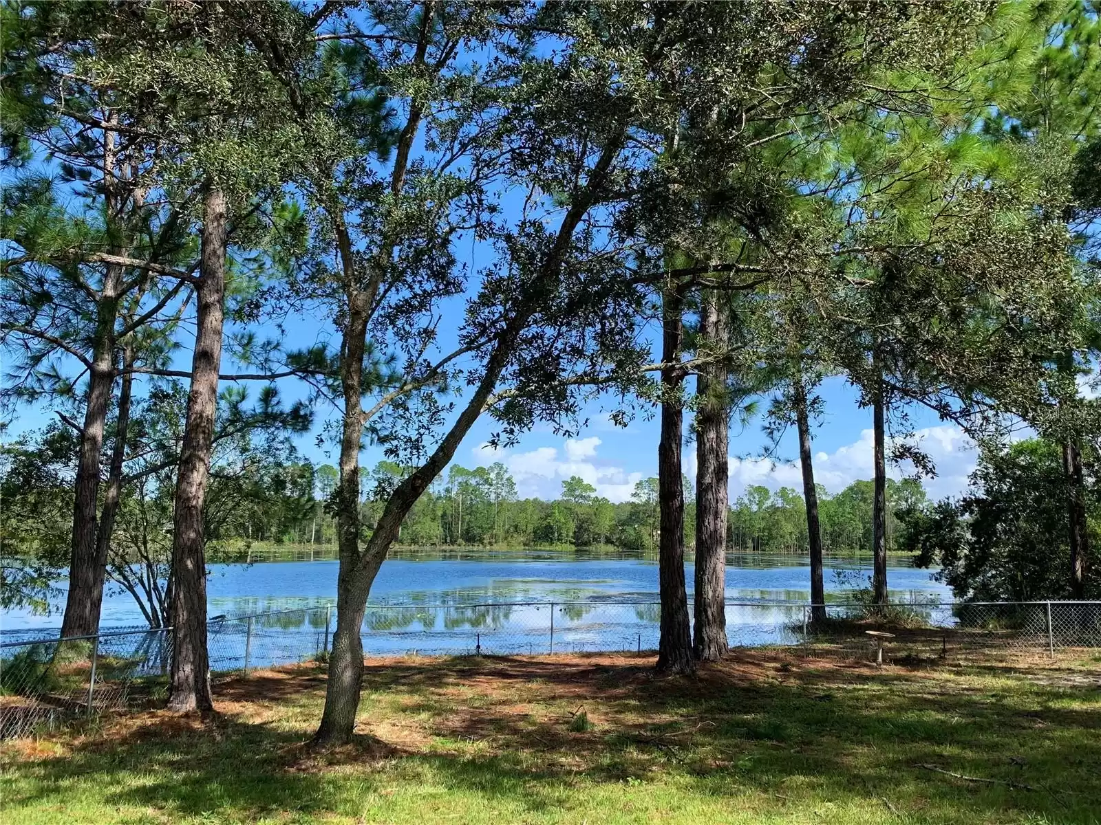 30745 VERONICA AVENUE, EUSTIS, Florida 32736, 3 Bedrooms Bedrooms, ,2 BathroomsBathrooms,Residential,For Sale,VERONICA,0,MFRG5085084