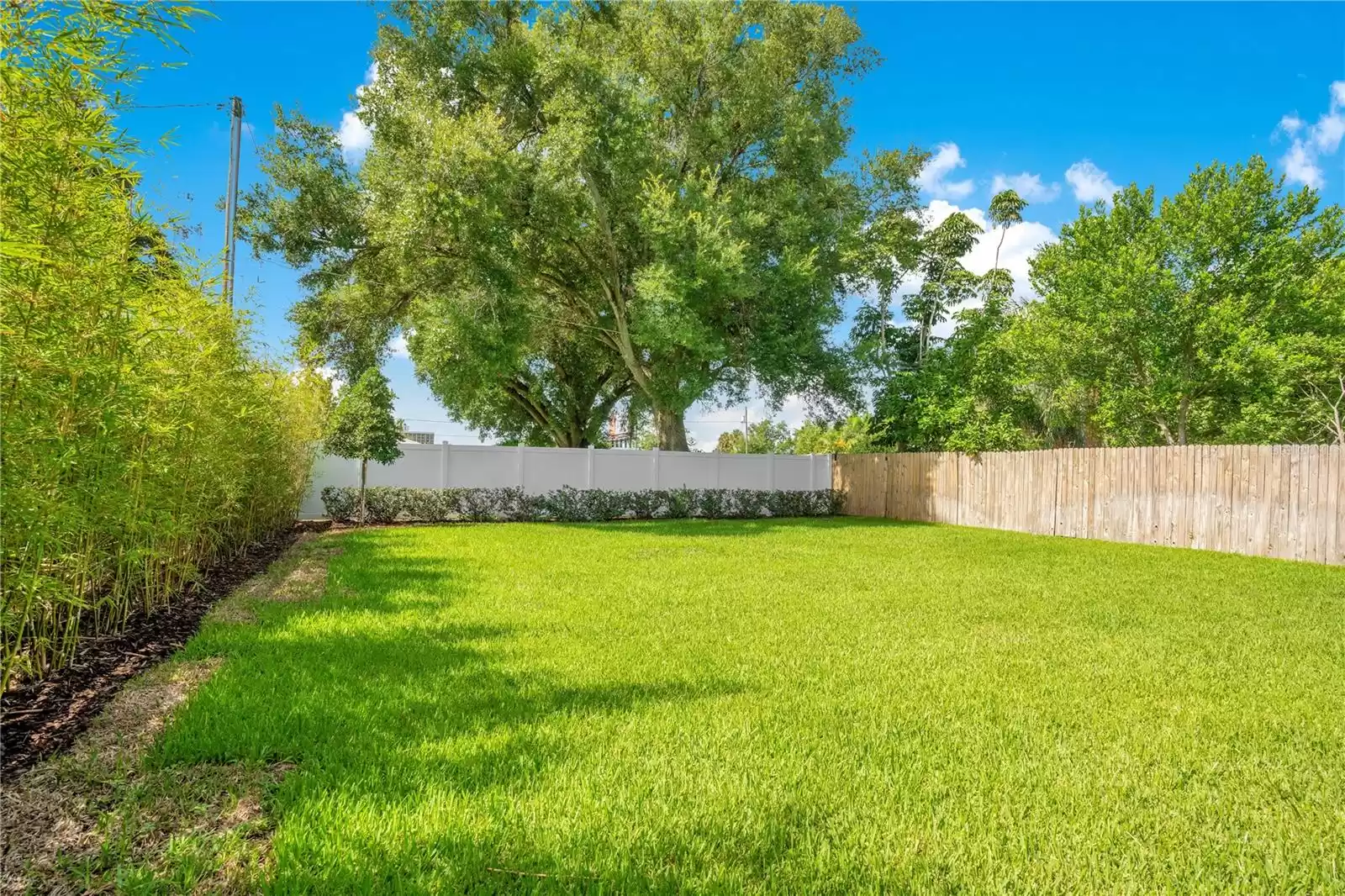 View of back yard