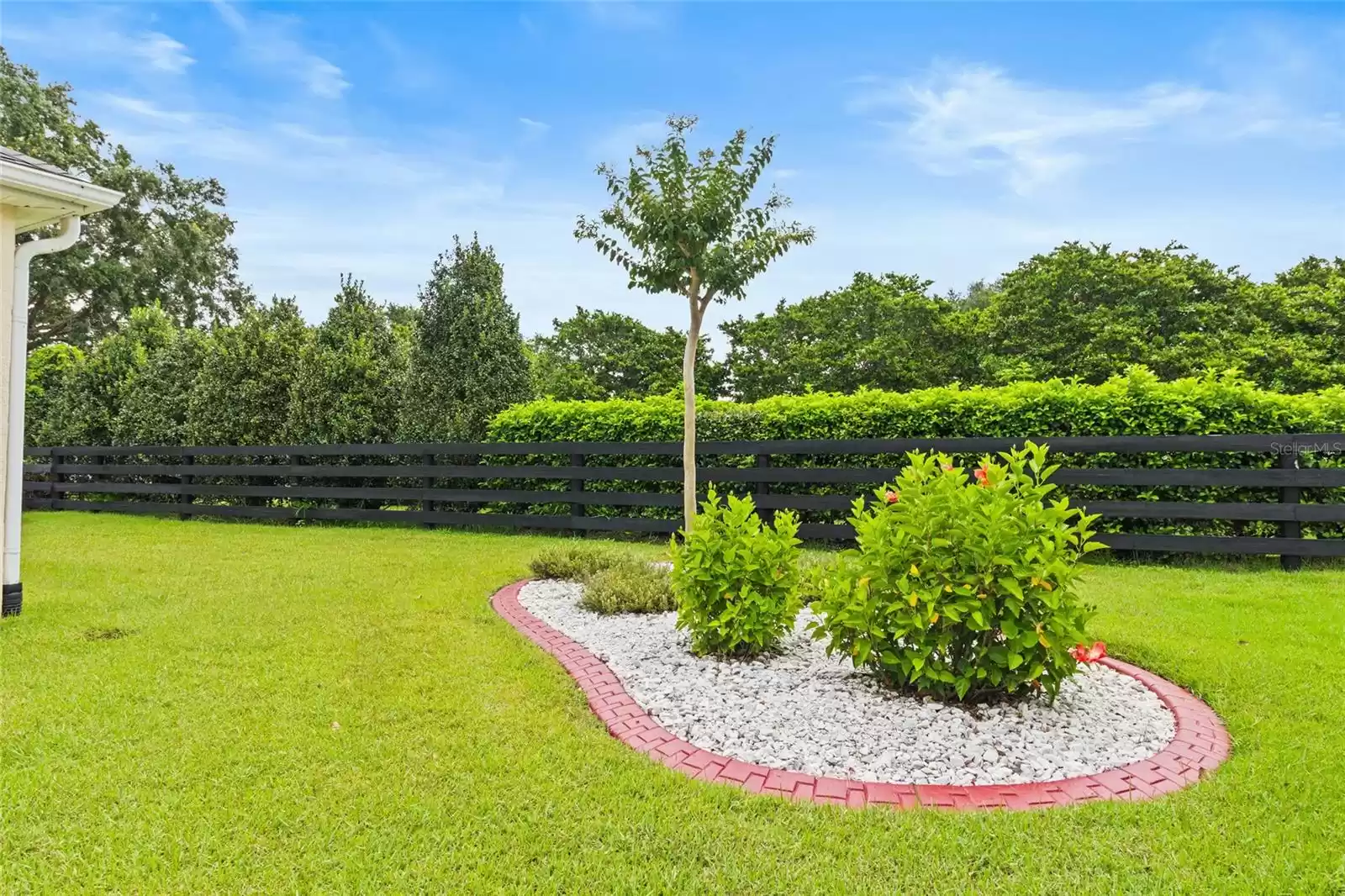 Fence and landscaping at the rear of property means PRIVACY.